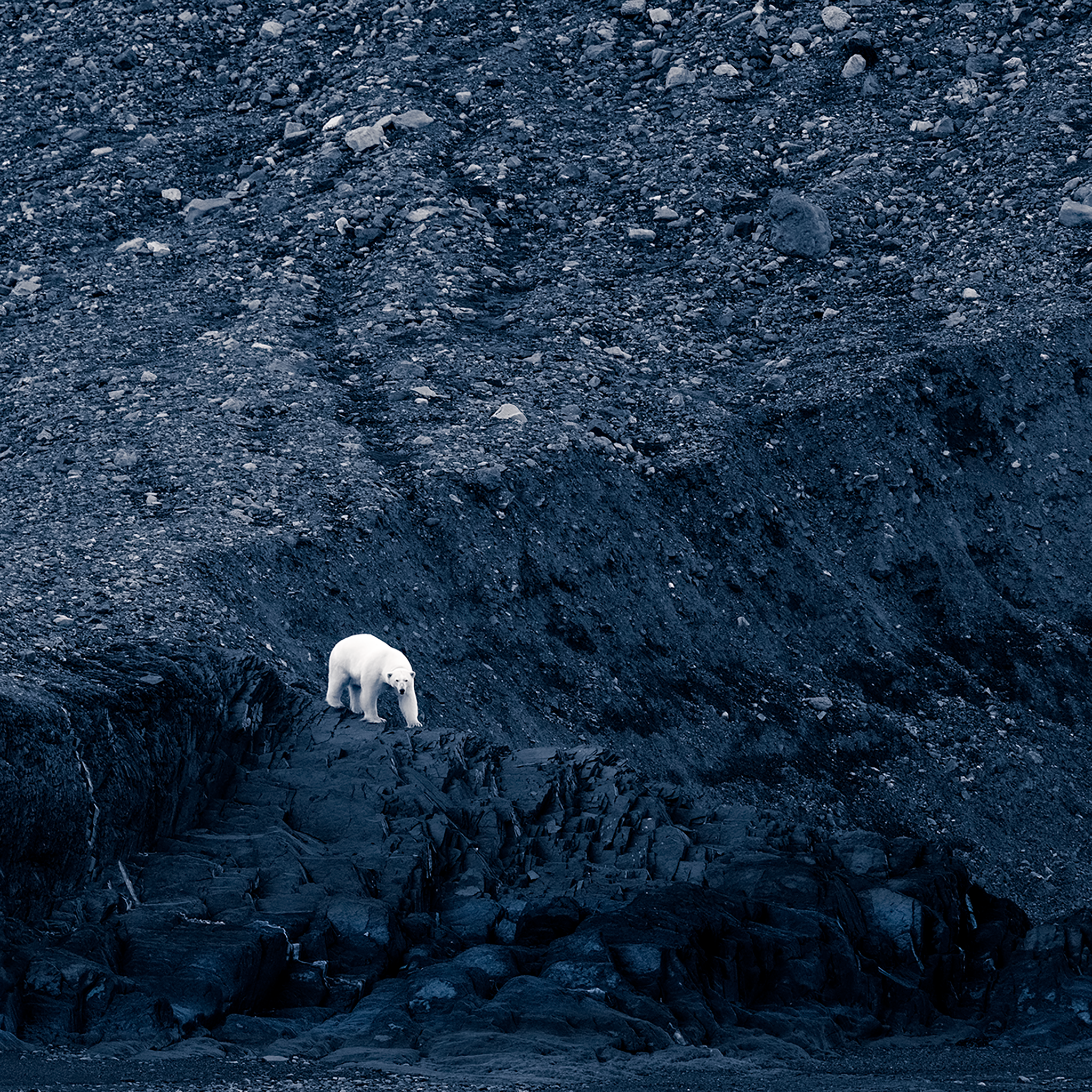 Waiting for Winter- Collection: Norway