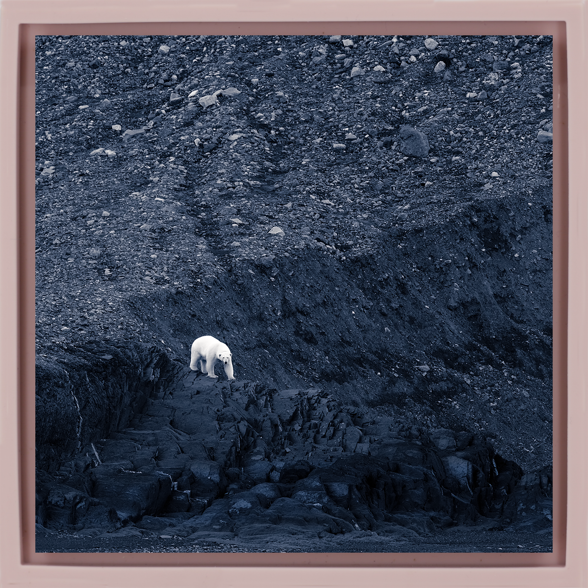Waiting for Winter- Pink Wrapp