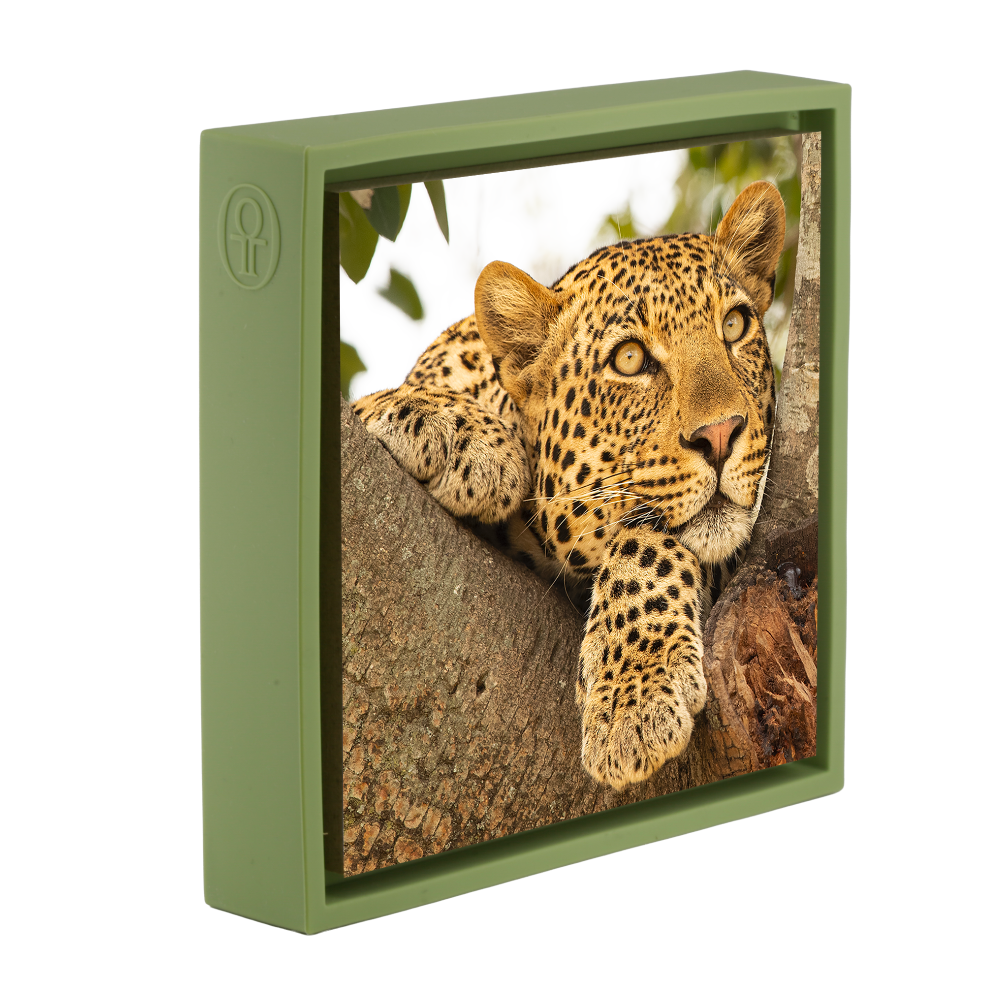 Serengeti Sunday- Light Green Wrapp