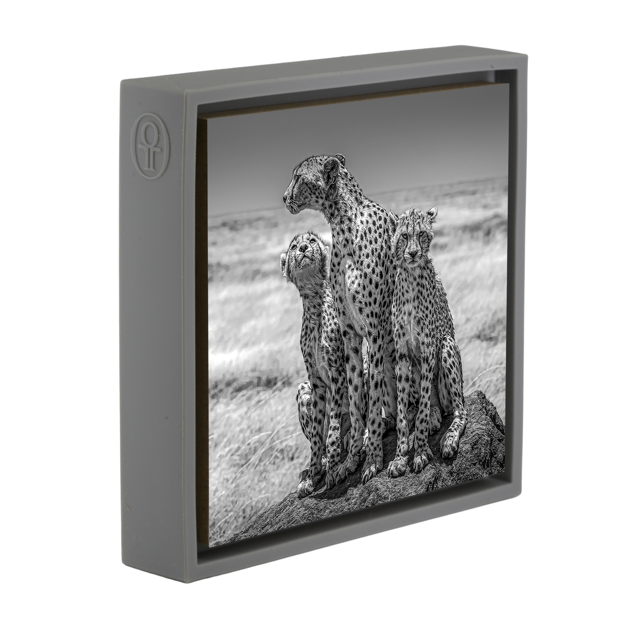 The Lookout- Grey Wrapp