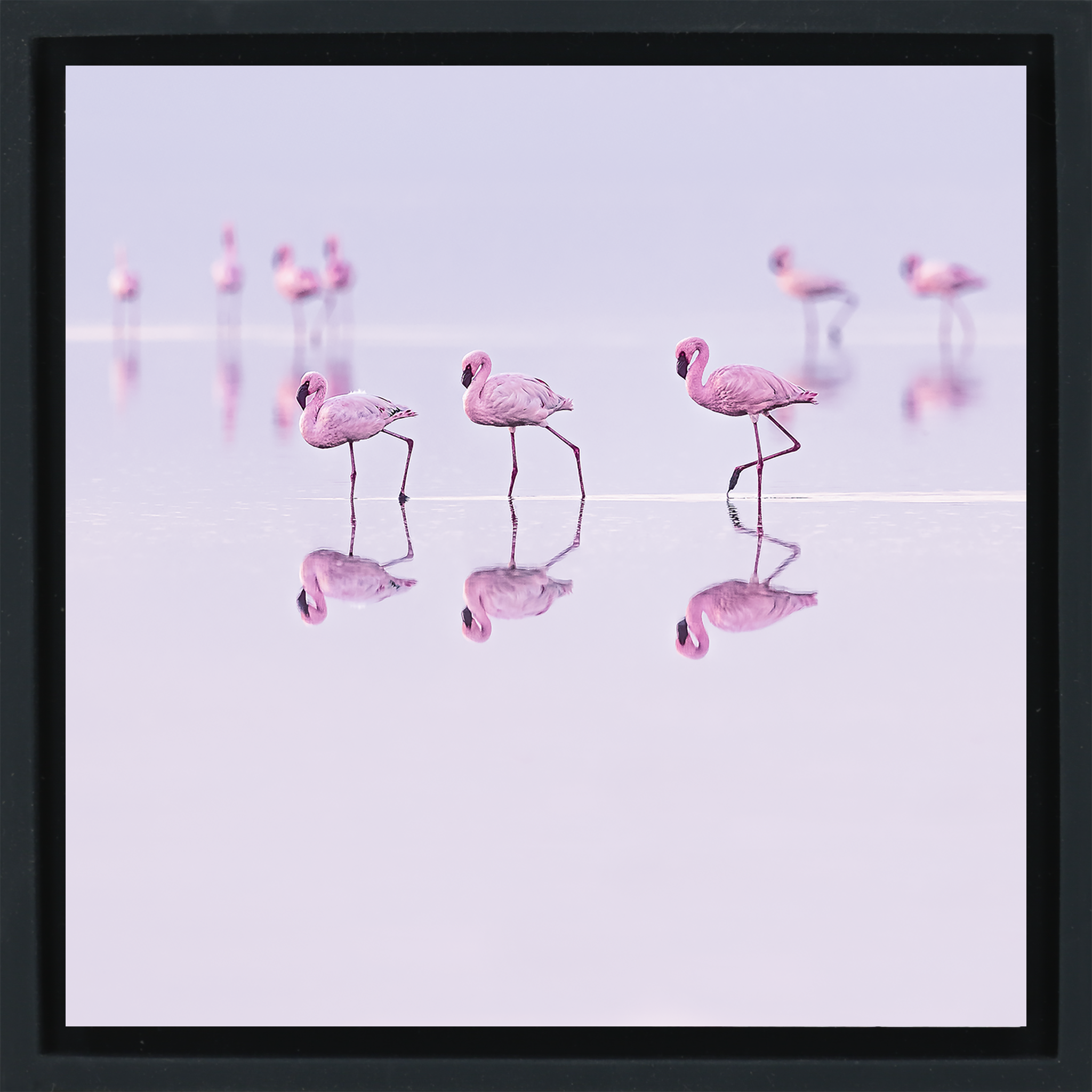 Natron Pastel Waters- Black Wrapp