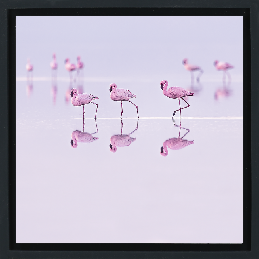 Natron Pastel Waters - Black Wrapp