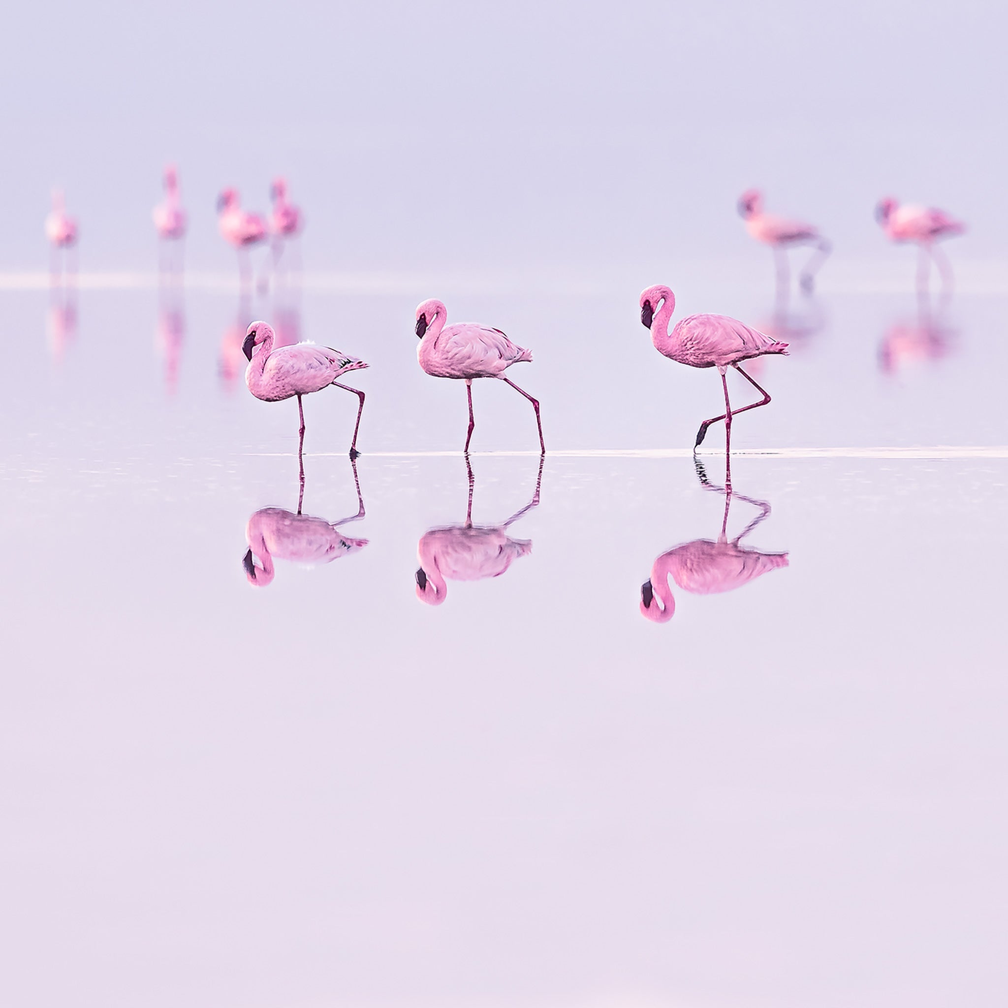 Natron Pastel Waters- Collection: Tanzania