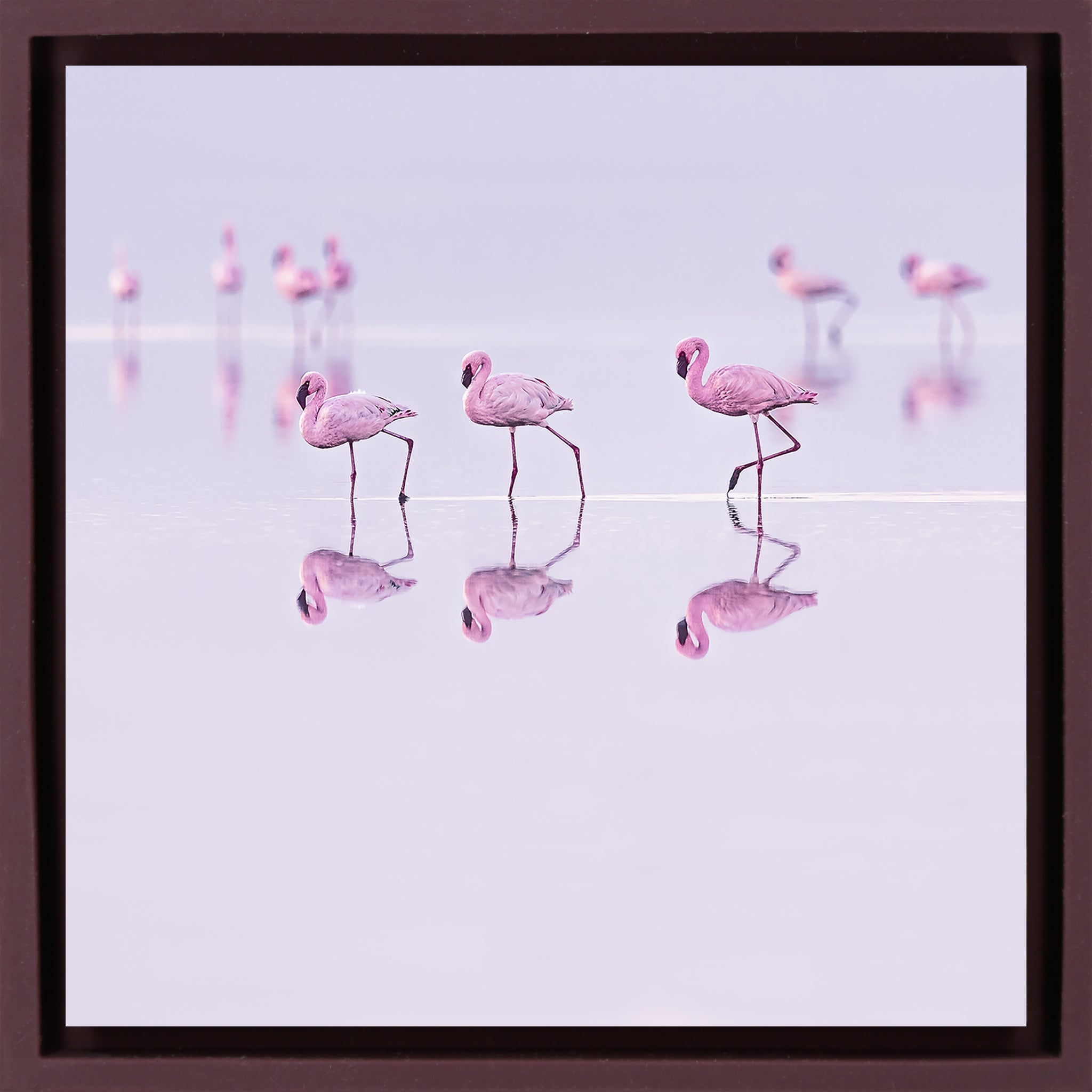 Natron Pastel Waters- Purple Wrapp