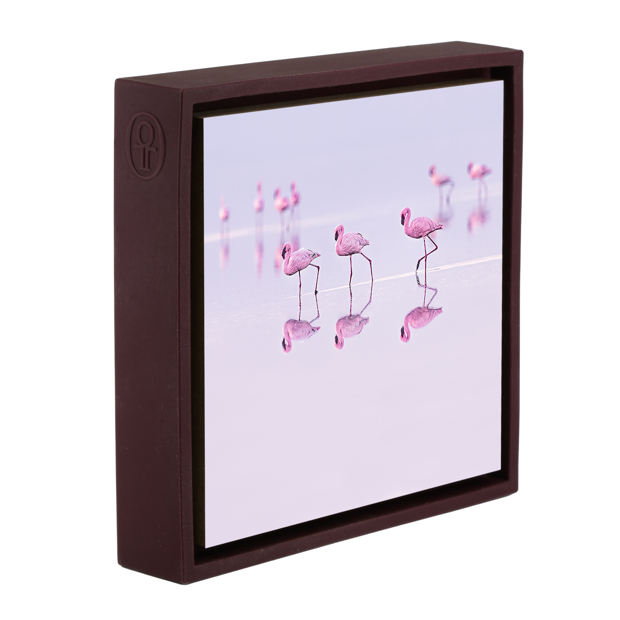Natron Pastel Waters- Purple Wrapp