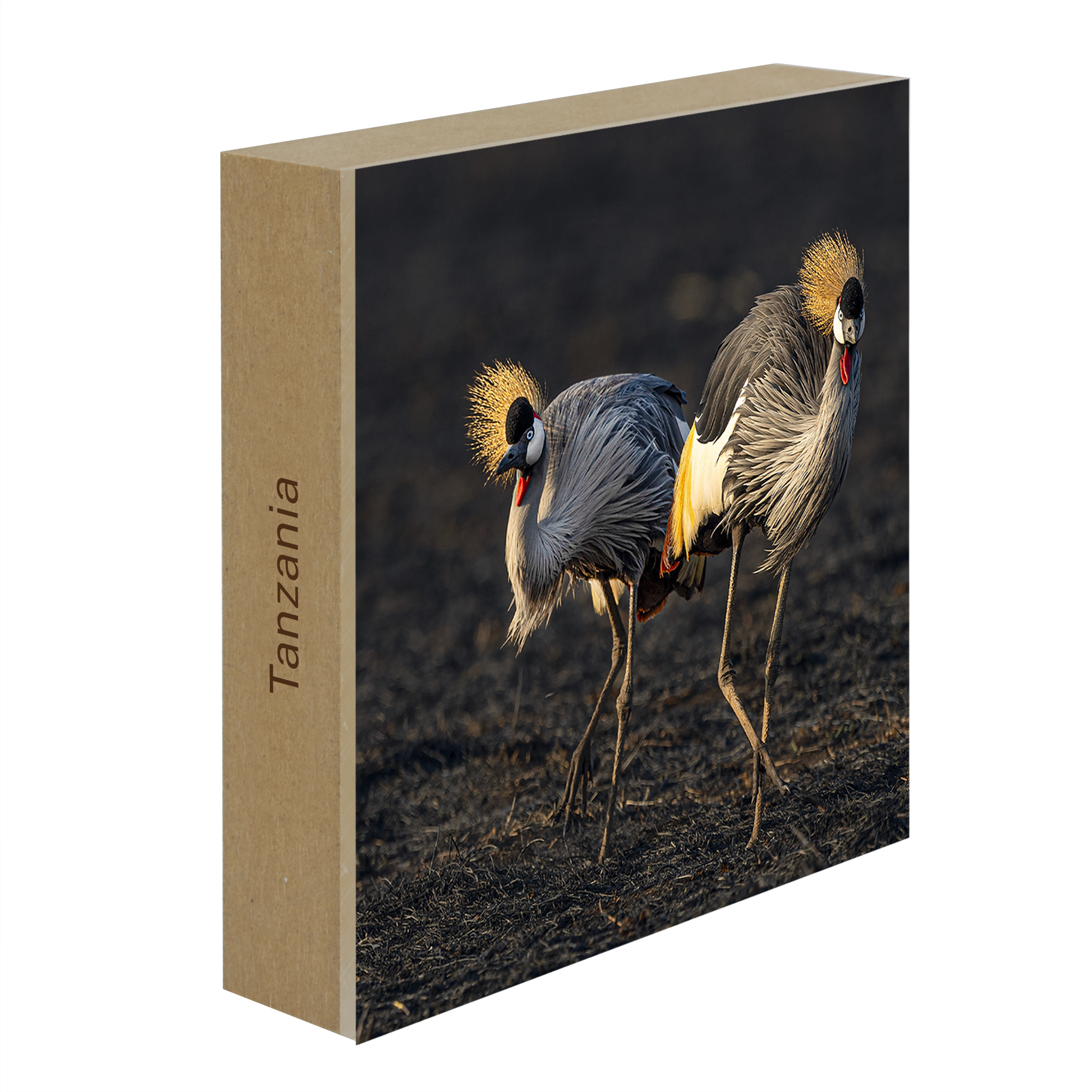 The Crowned Pair- Collection: Tanzania