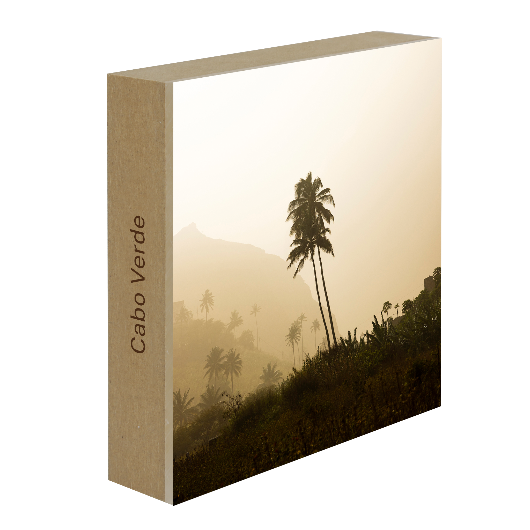 Palm Tree - Collection: Cabo Verde