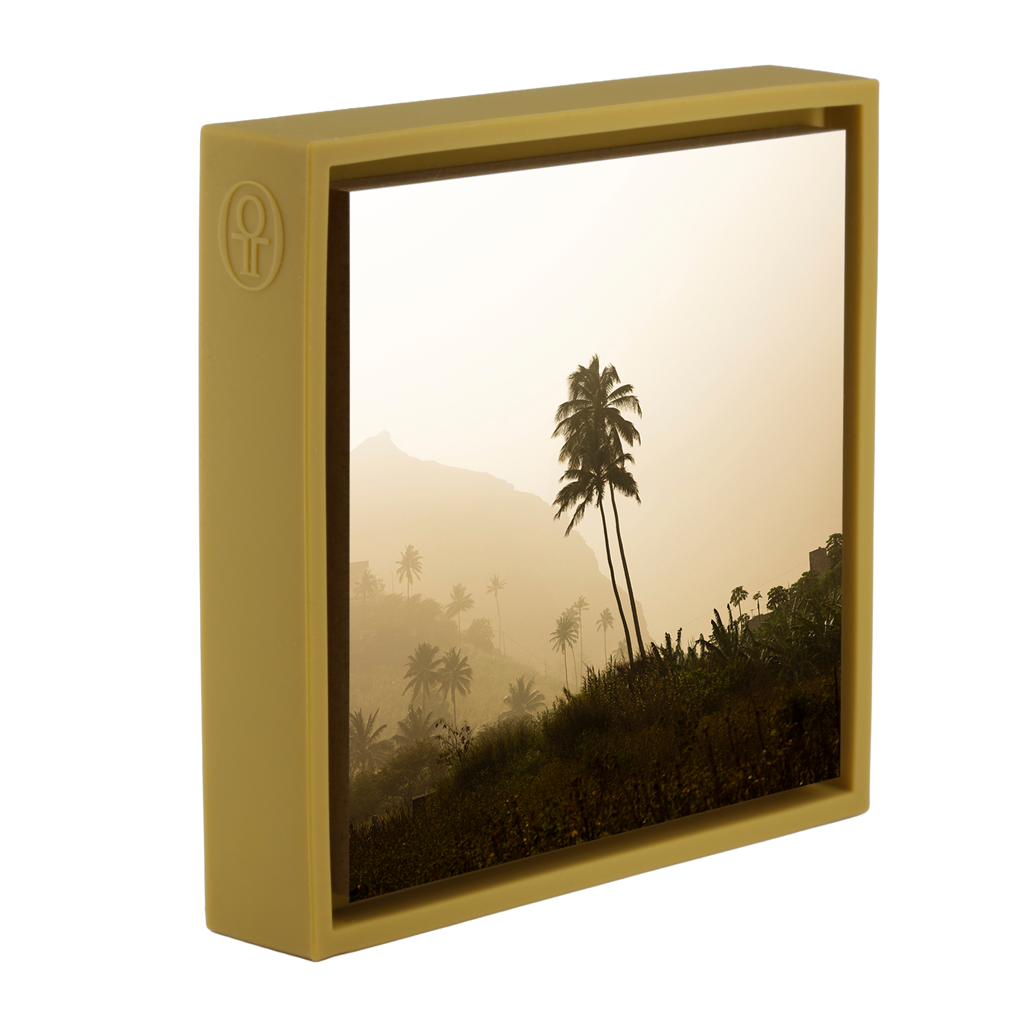 Palm Tree - Ochre Wrapp