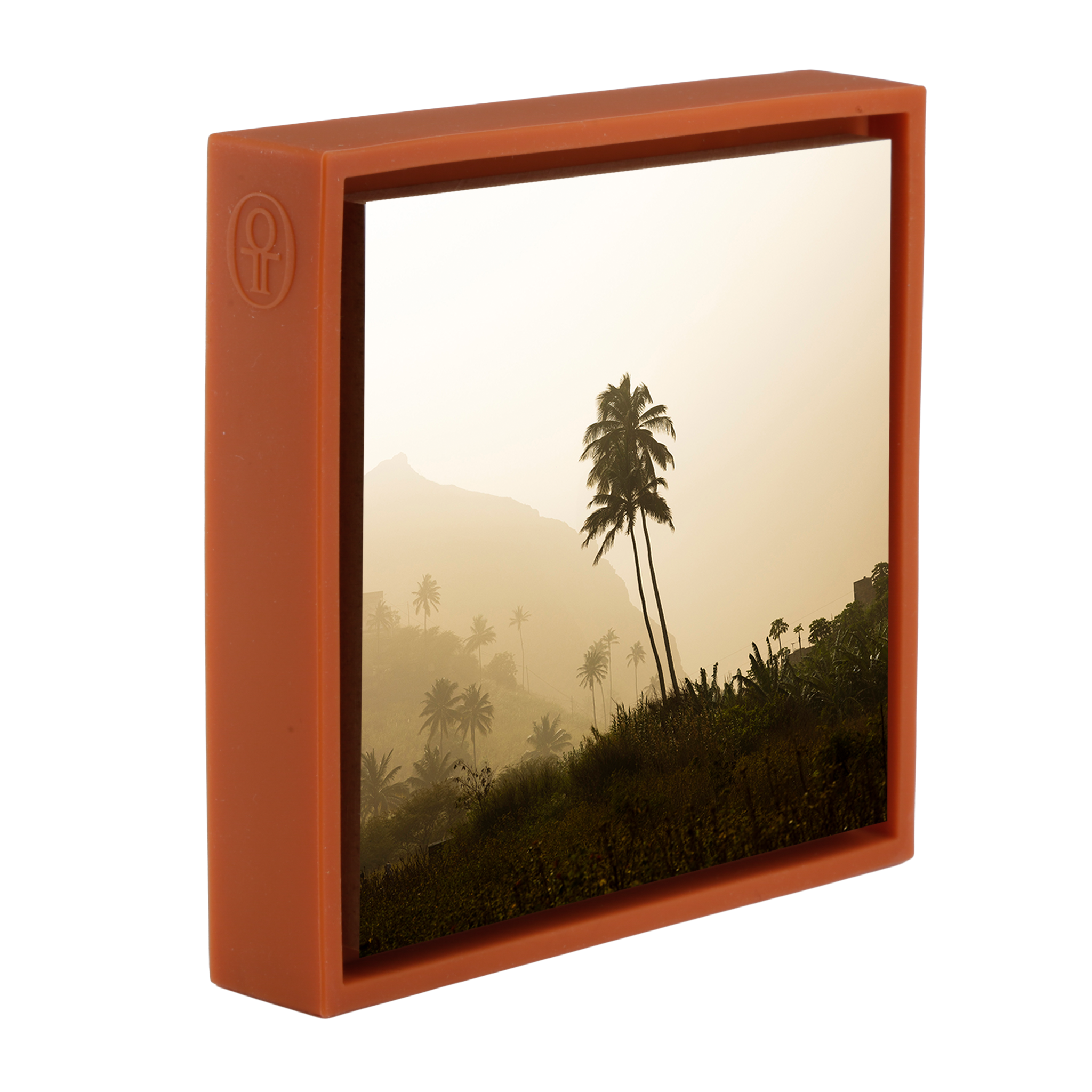 Palm Tree - Orange Wrapp