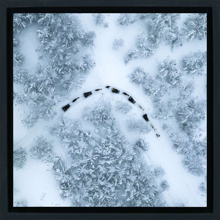 Dog Sled - Black Wrapp