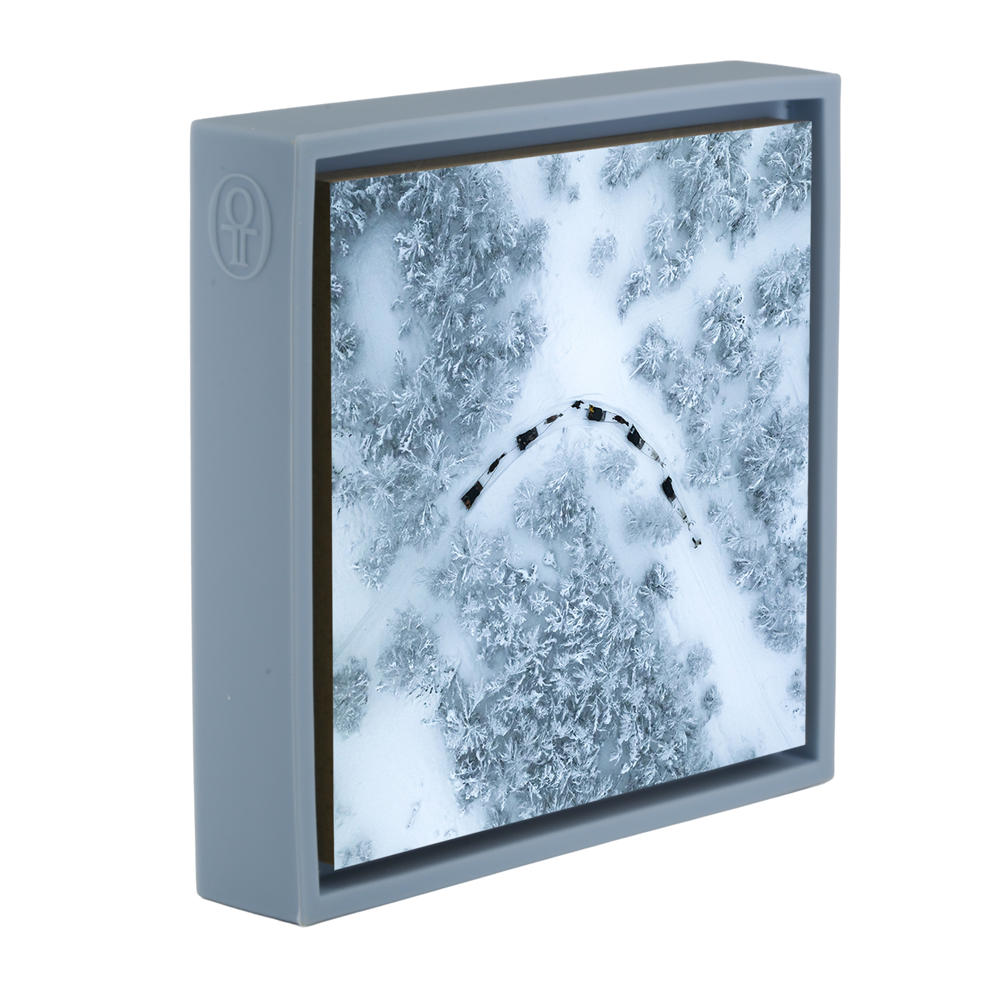 Dog Sled - Light Blue Wrapp