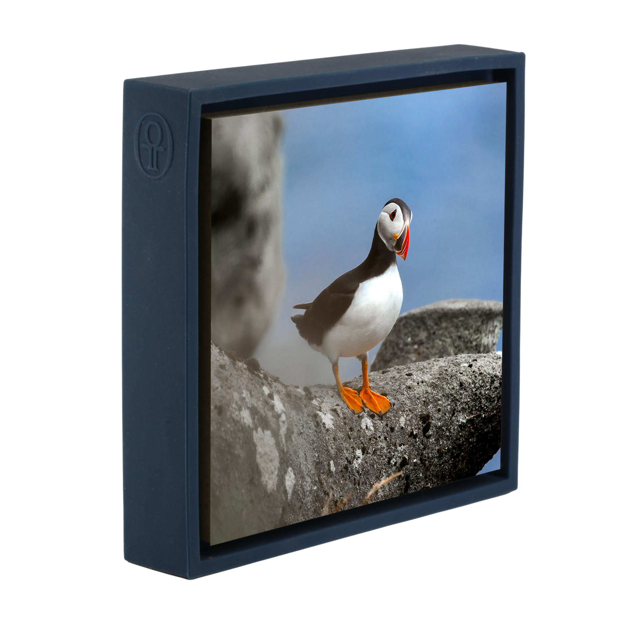 Atlantic Puffin- Dark Blue Wrapp