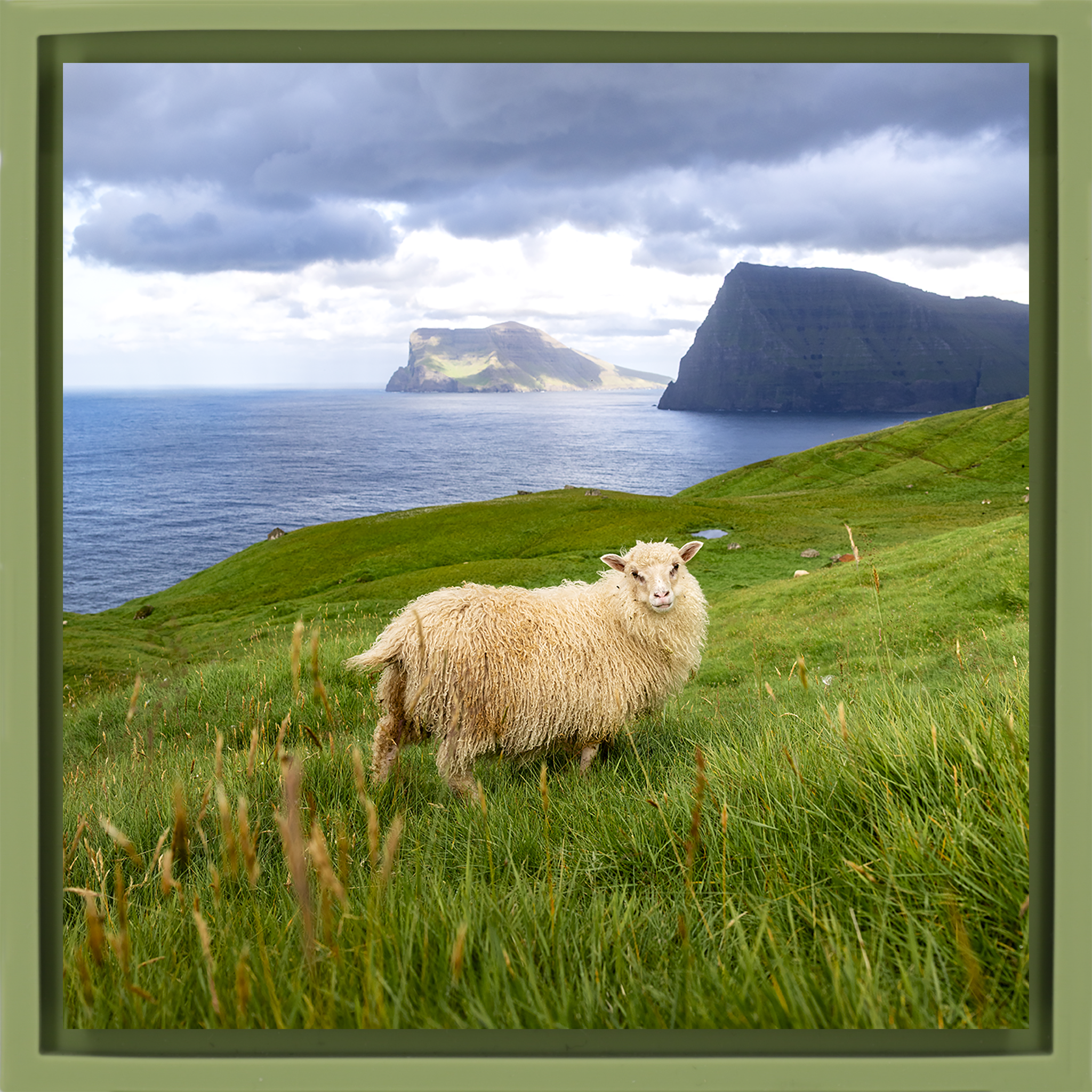 Ruler of the Faroes- Light Green Wrapp