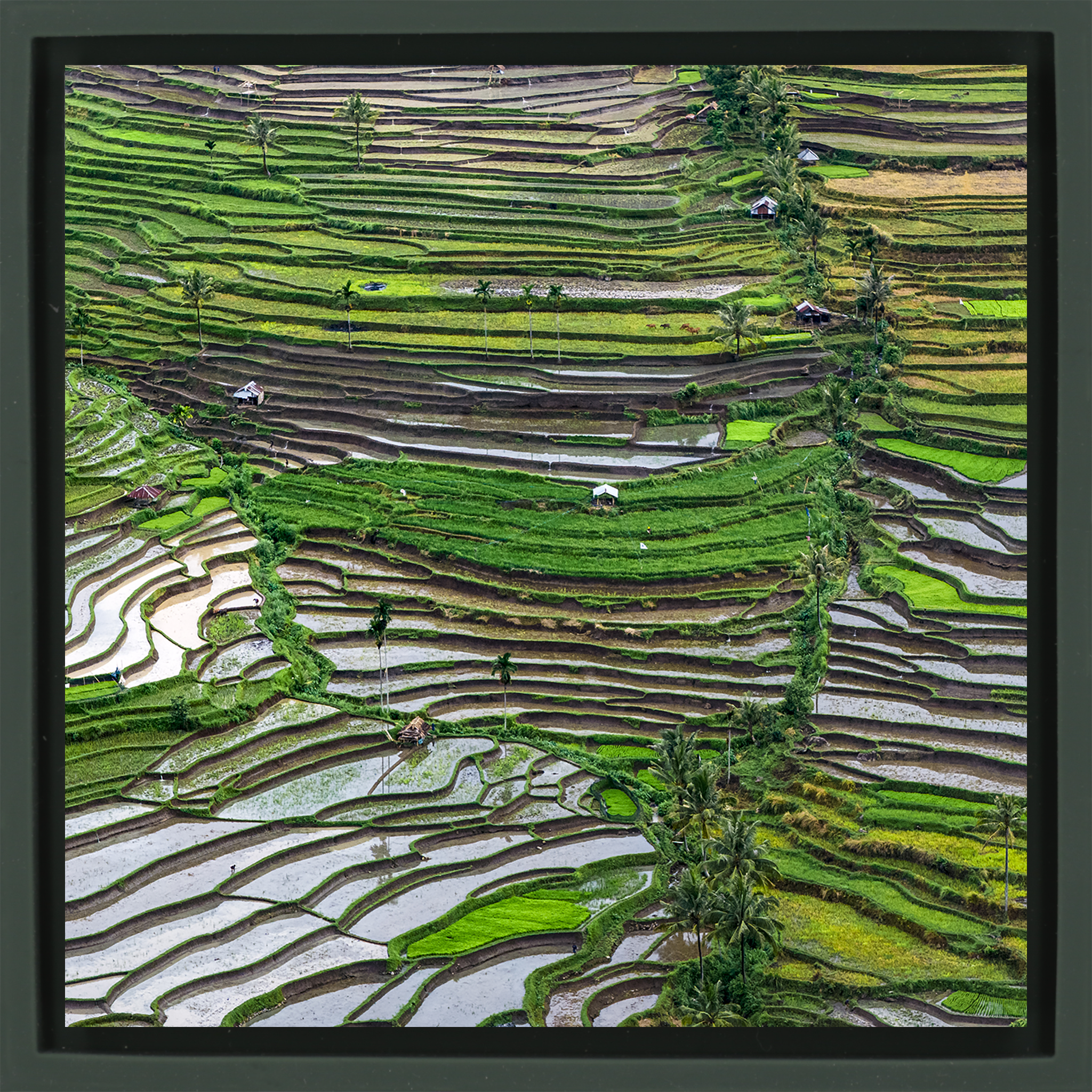 Layers of Lombok- Dark Green Wrapp