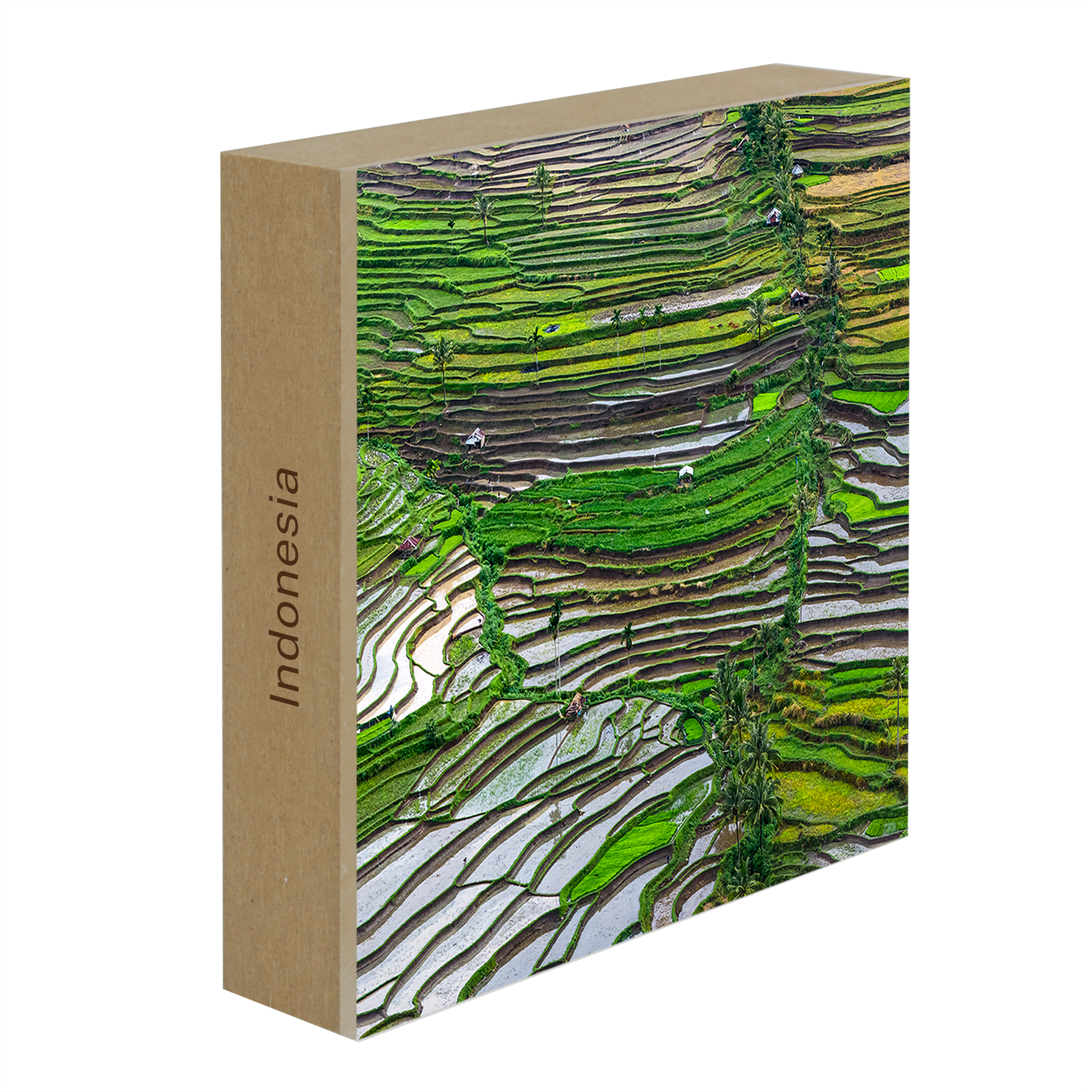 Layers of Lombok- Collection: Indonesia