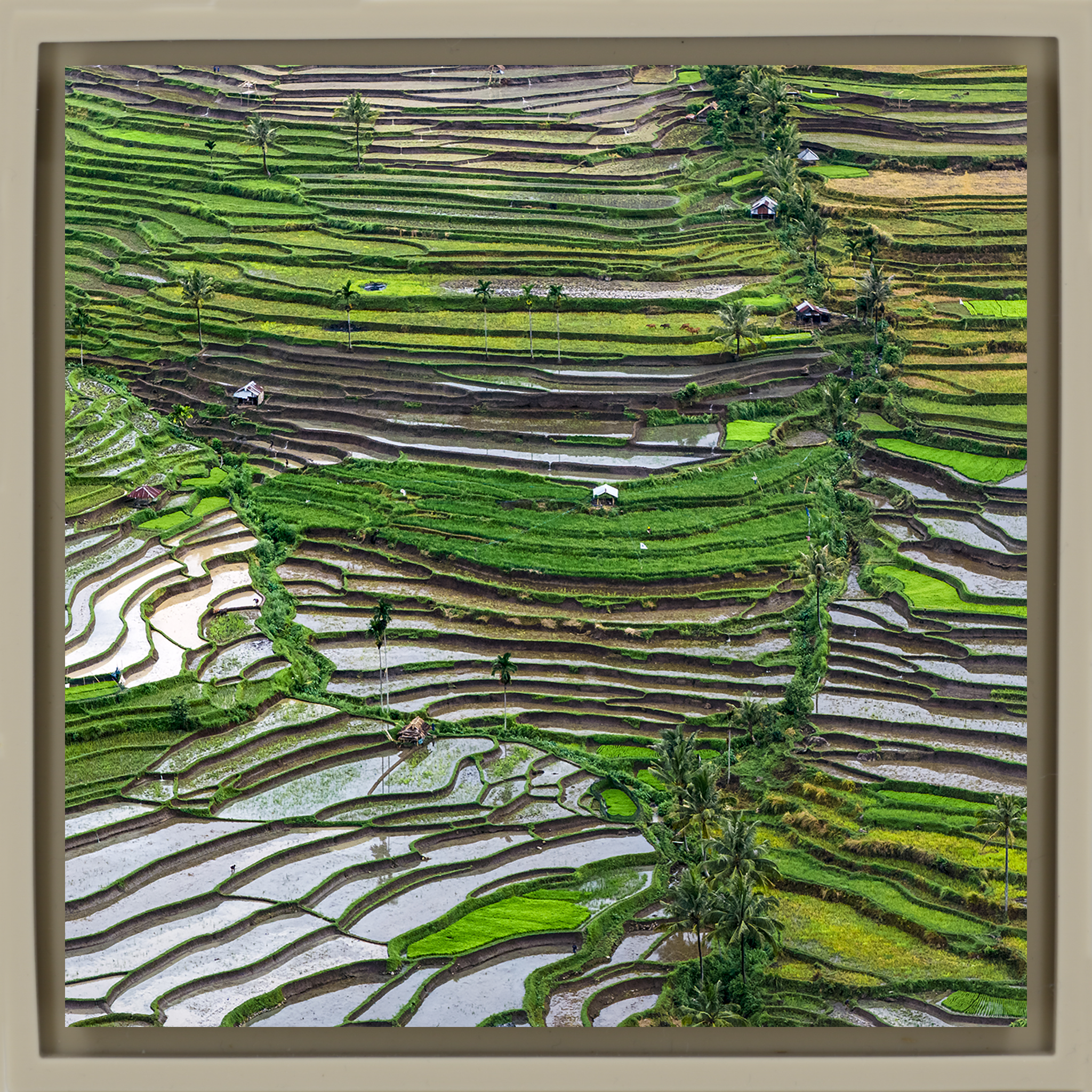 Layers of Lombok- Sand Wrapp