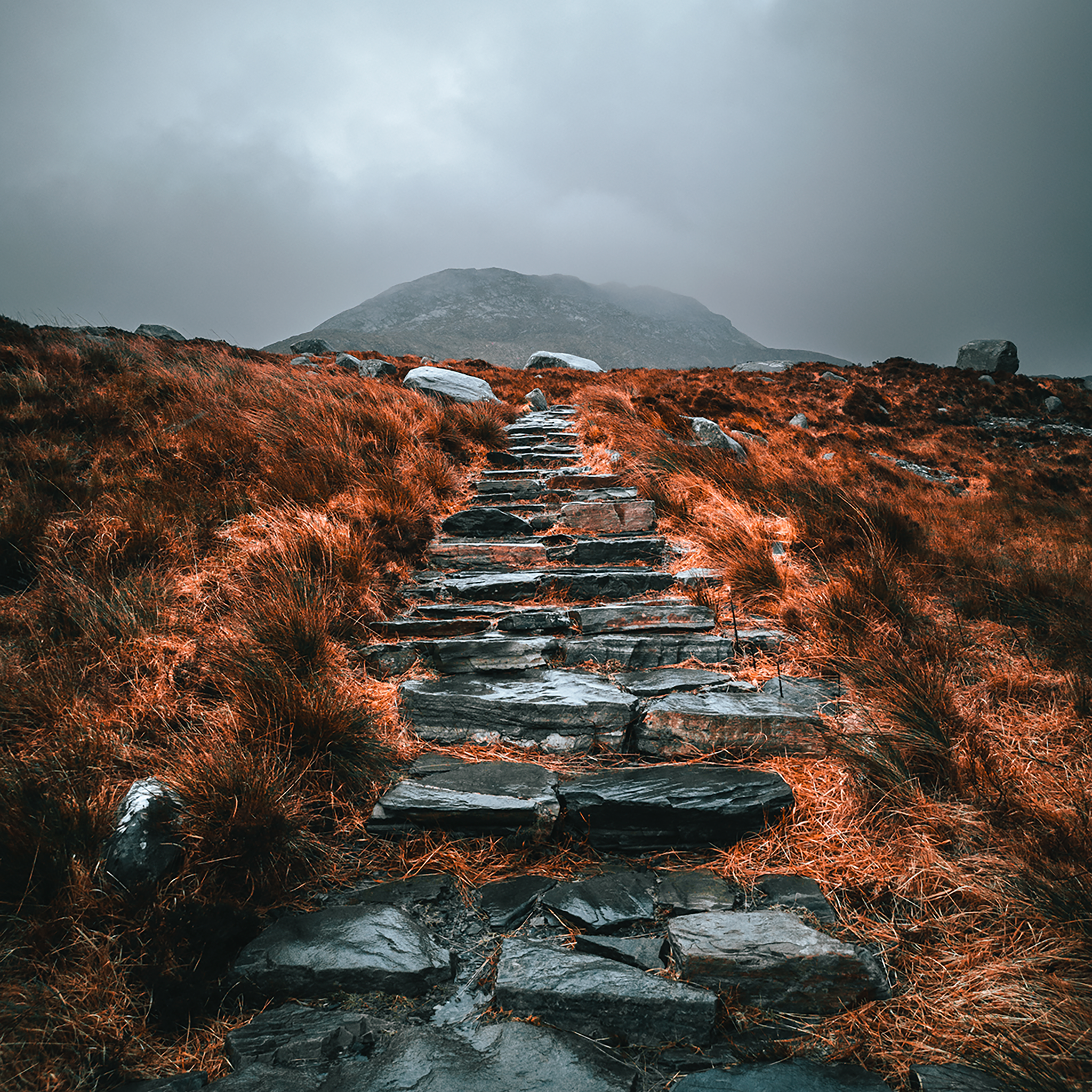 Irish Autumn Trails- Collection: Ireland