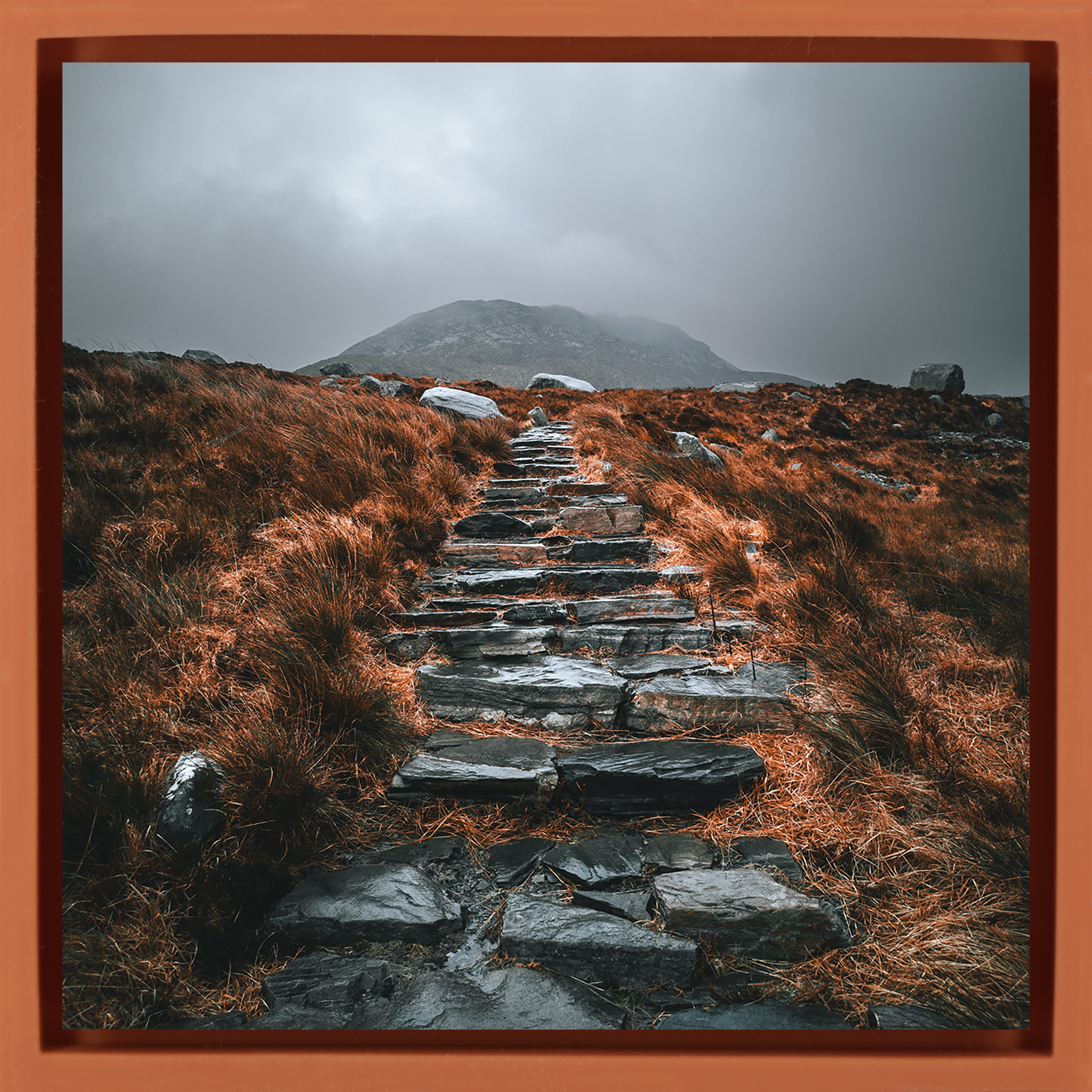 Irish Autumn Trails- Orange Wrapp