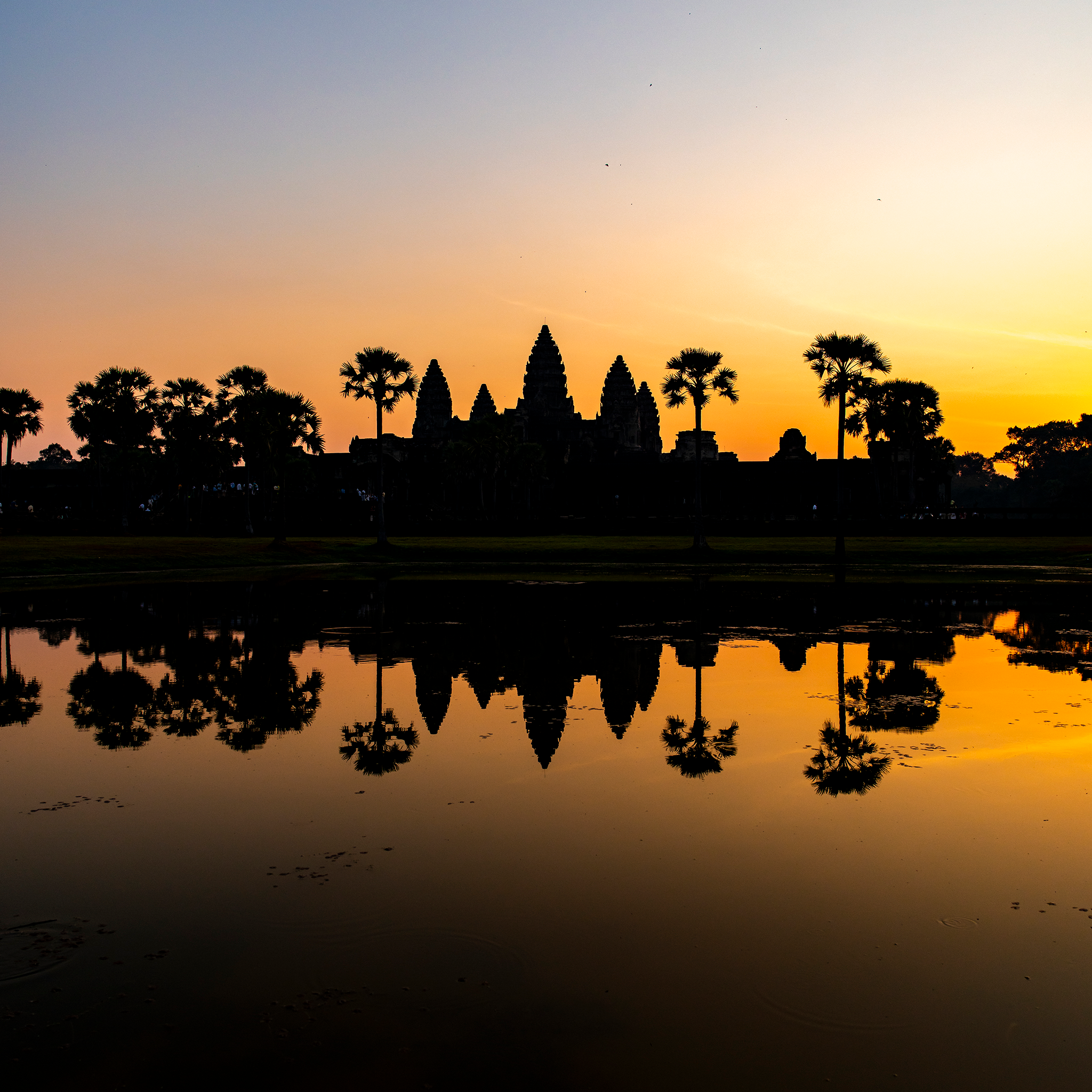 Angkor Wat Silhouette at Sunrise- Collection: Cambodia