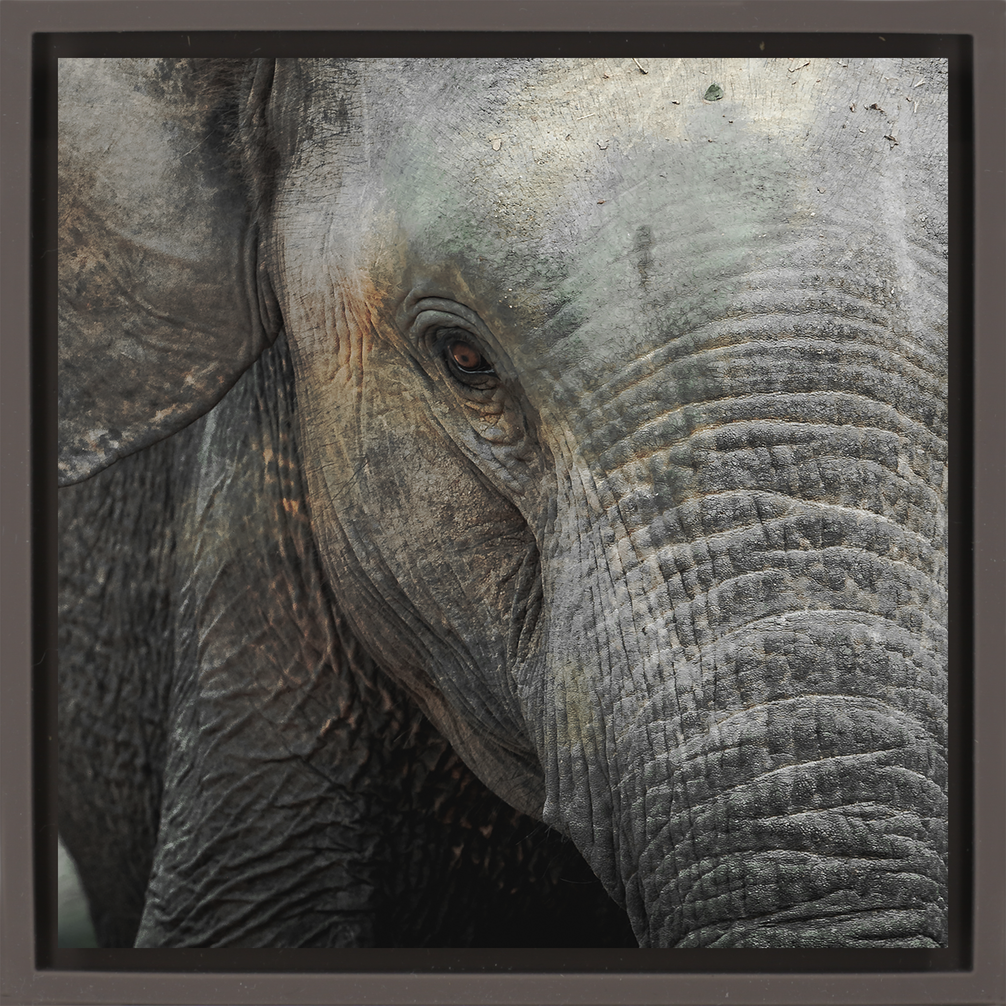 Eye of Wisdom- Brown Wrapp
