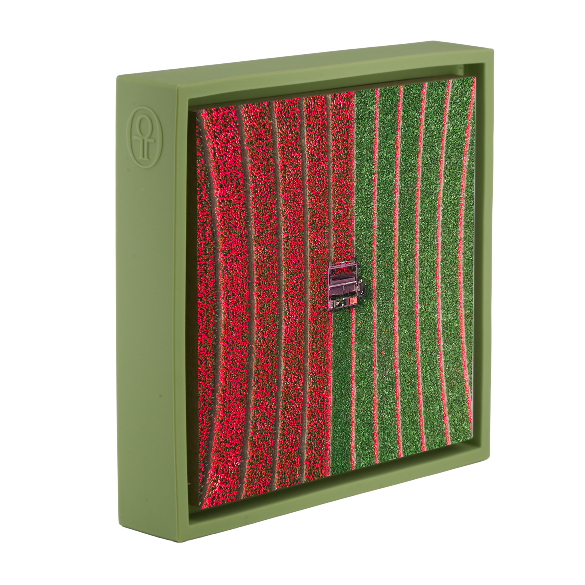 Tulip Field - Light Green Wrapp