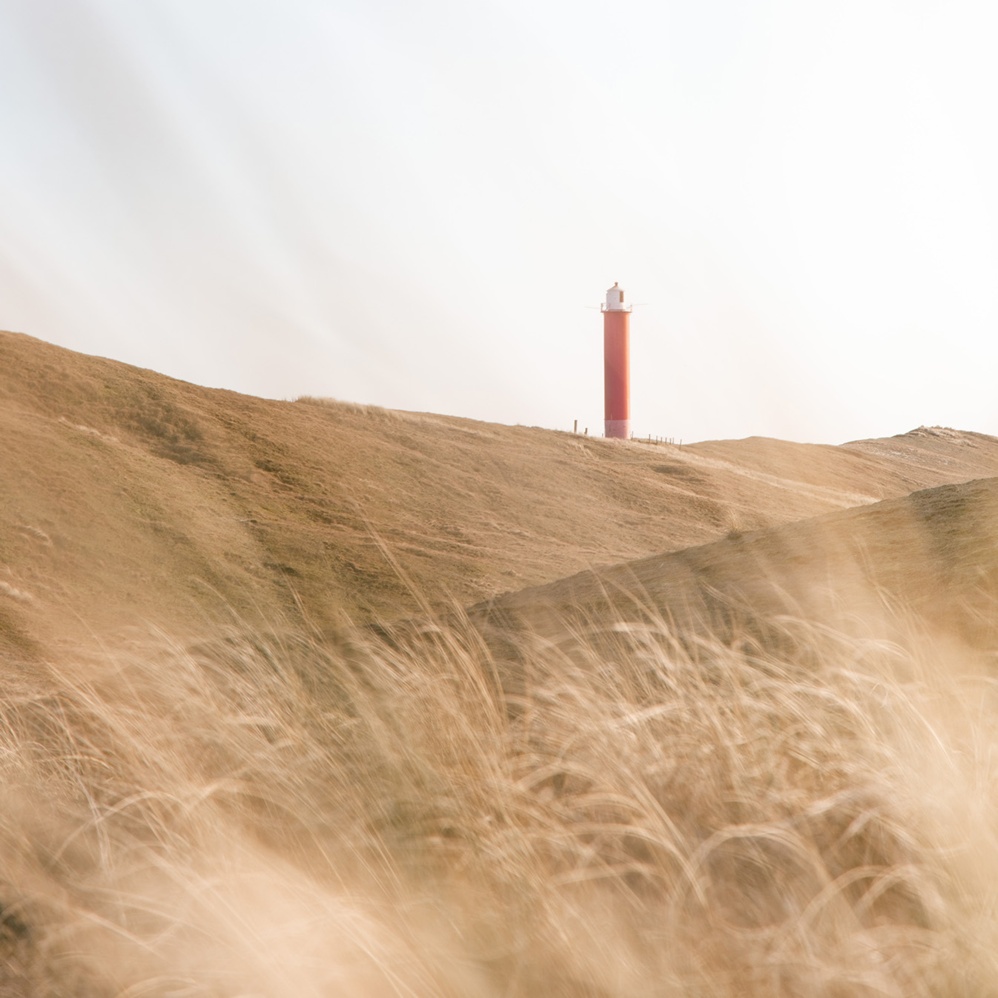 Dutch Lighthouse - Collection: The Netherlands
