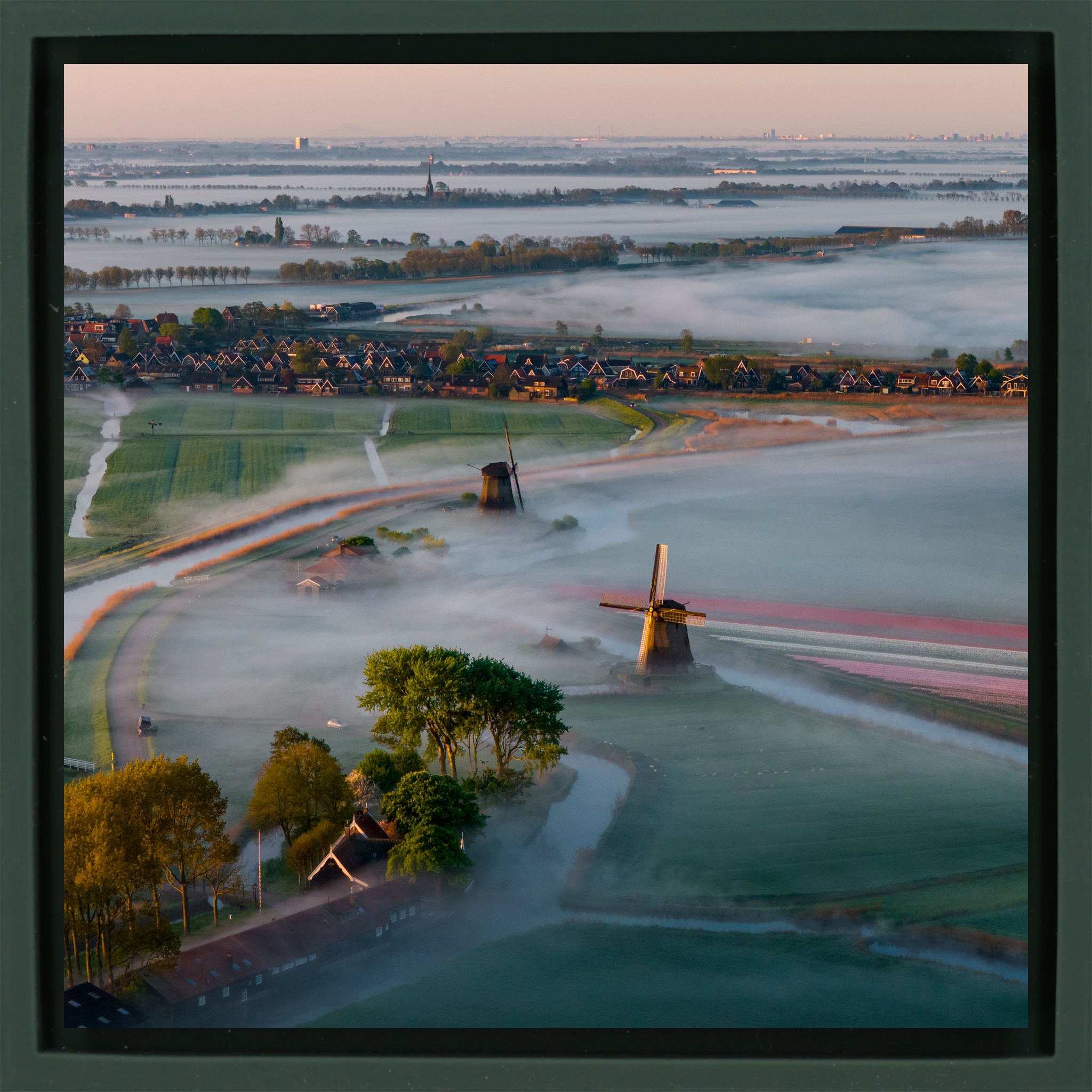 A Classic Dutch Awakening - Donkergroene Wrapp