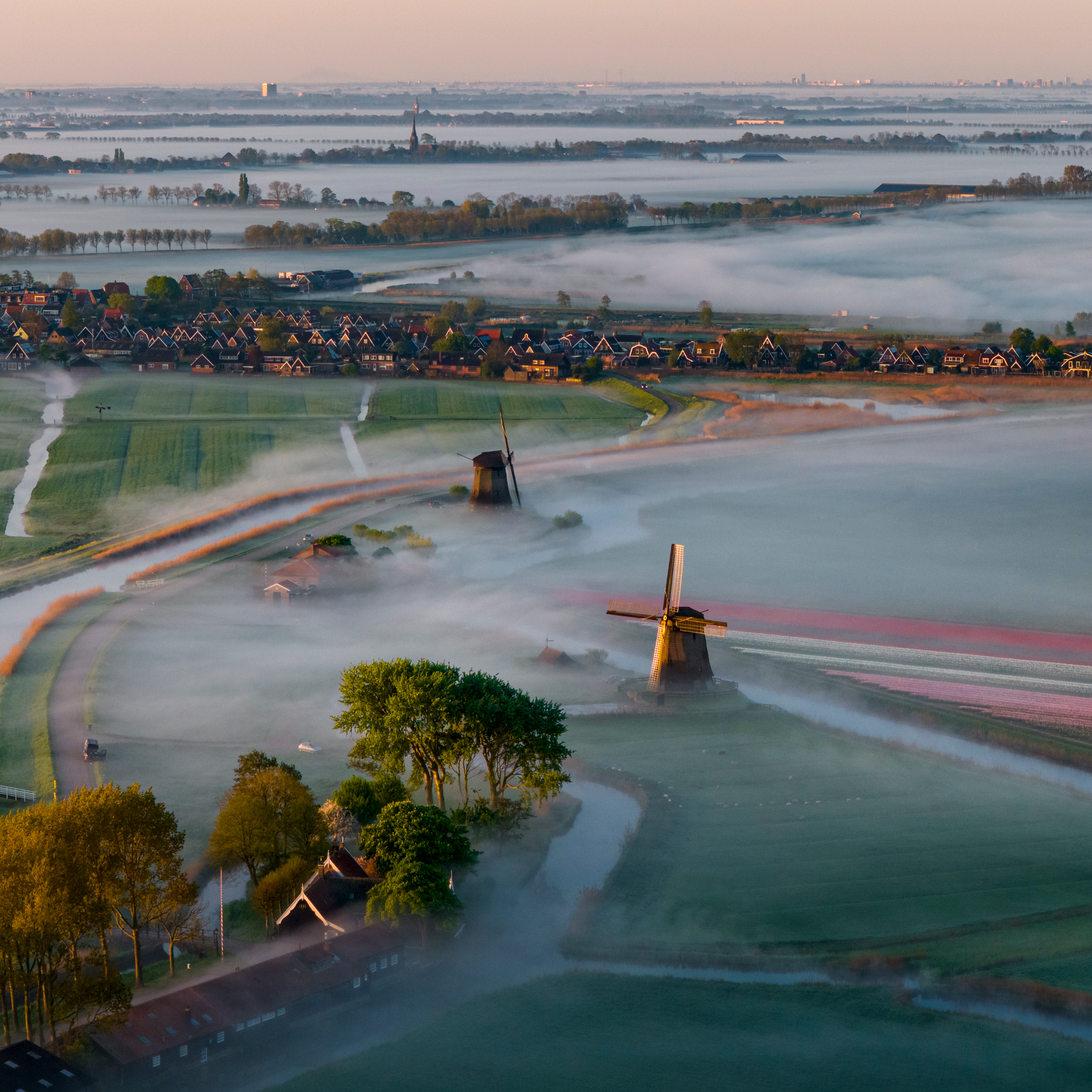 A Classic Dutch Awakening- Collection: The Netherlands
