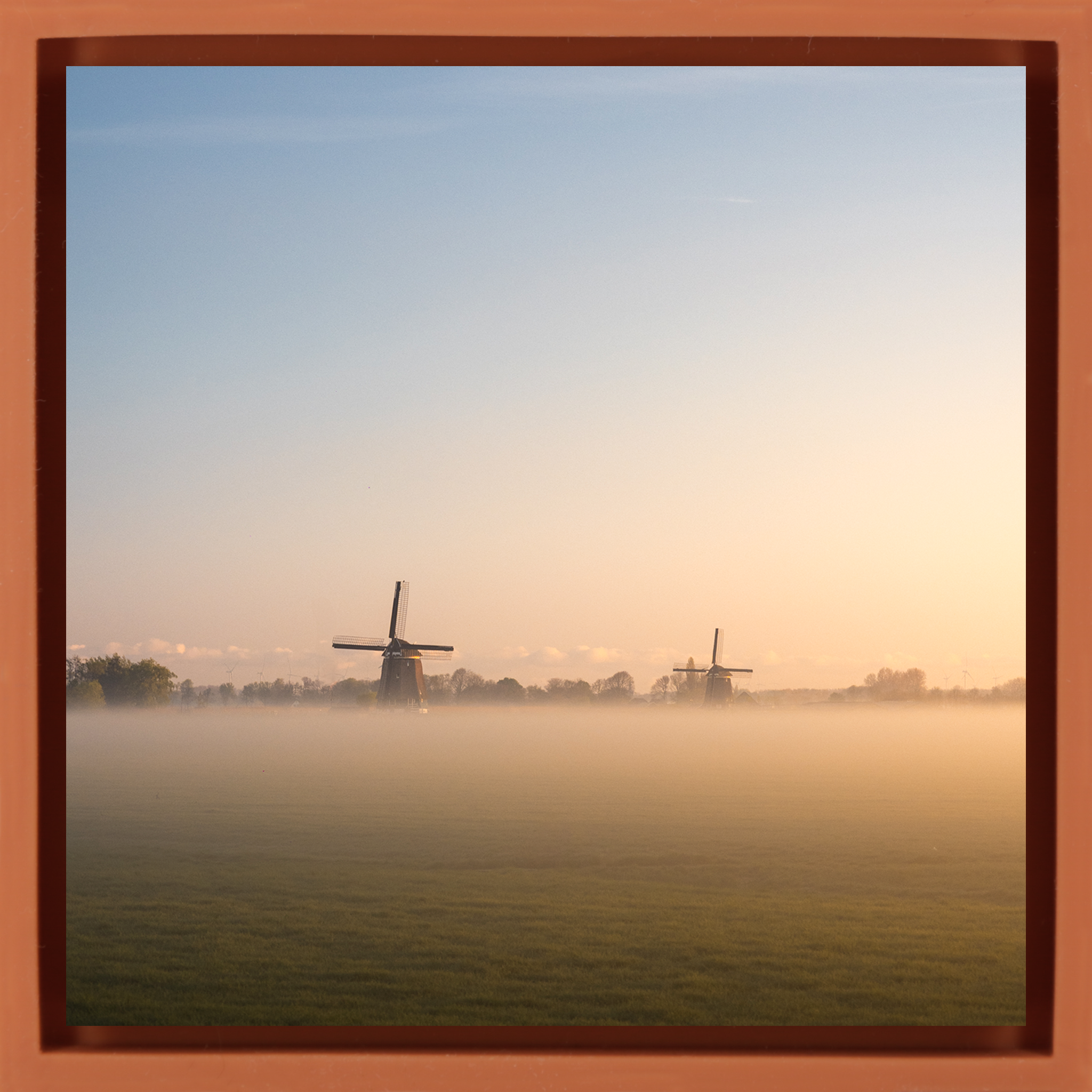 Whispers of Dawn - Oranje Wrapp