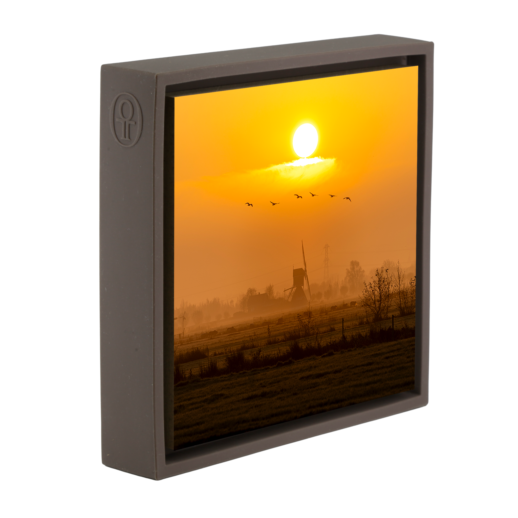 Golden Solitude- Brown Wrapp