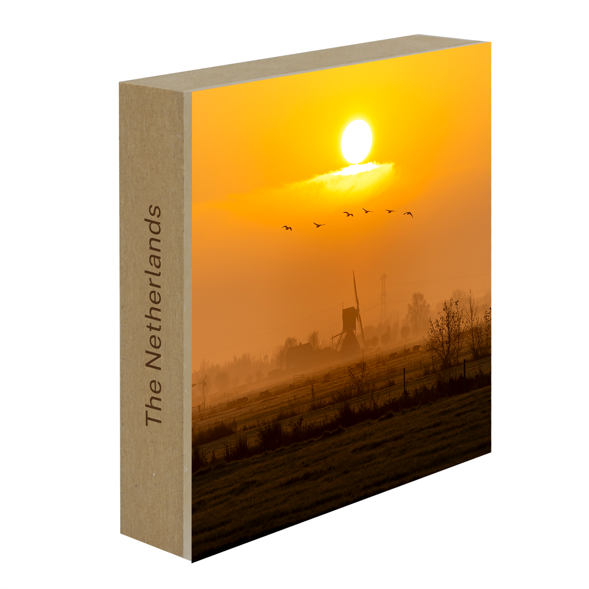 Golden Solitude- Collection: The Netherlands
