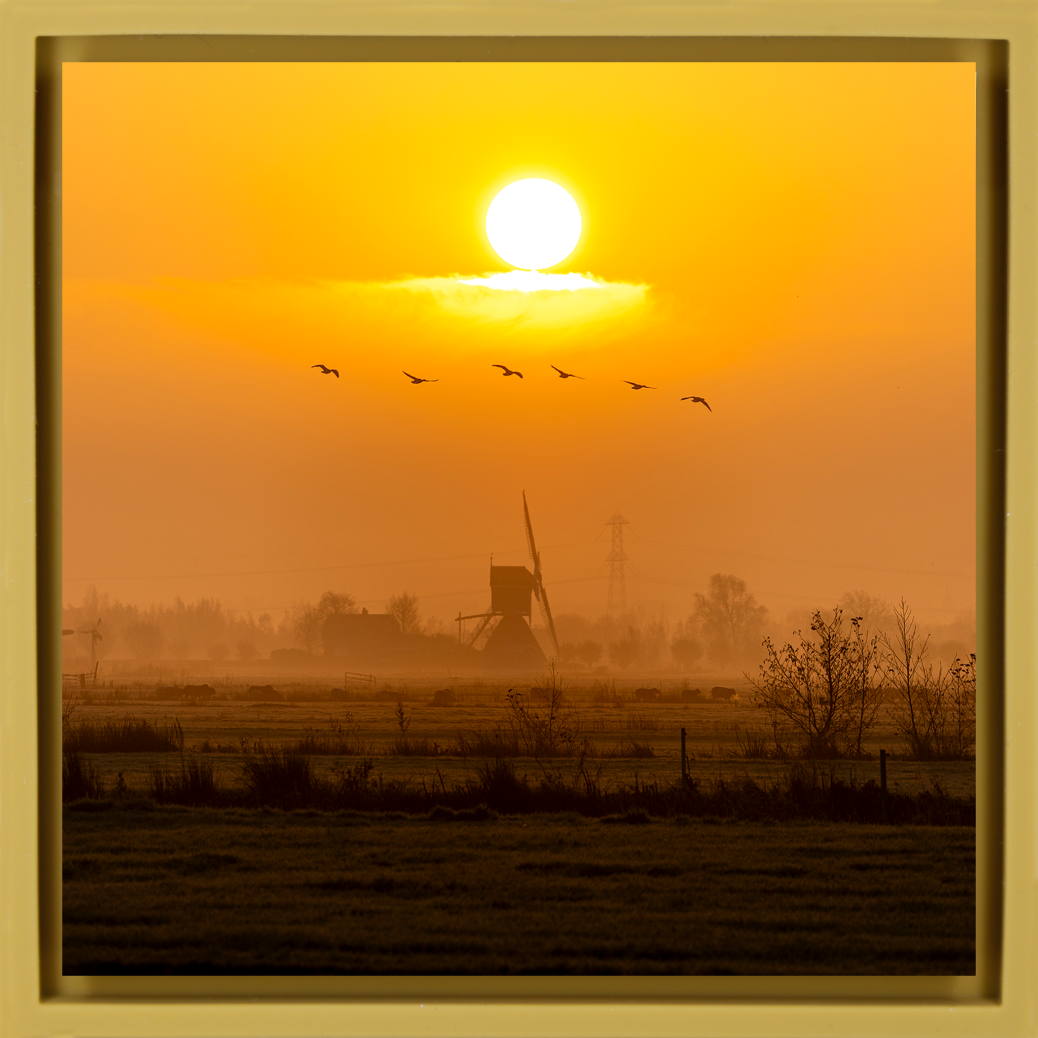 Golden Solitude - Okergele Wrapp