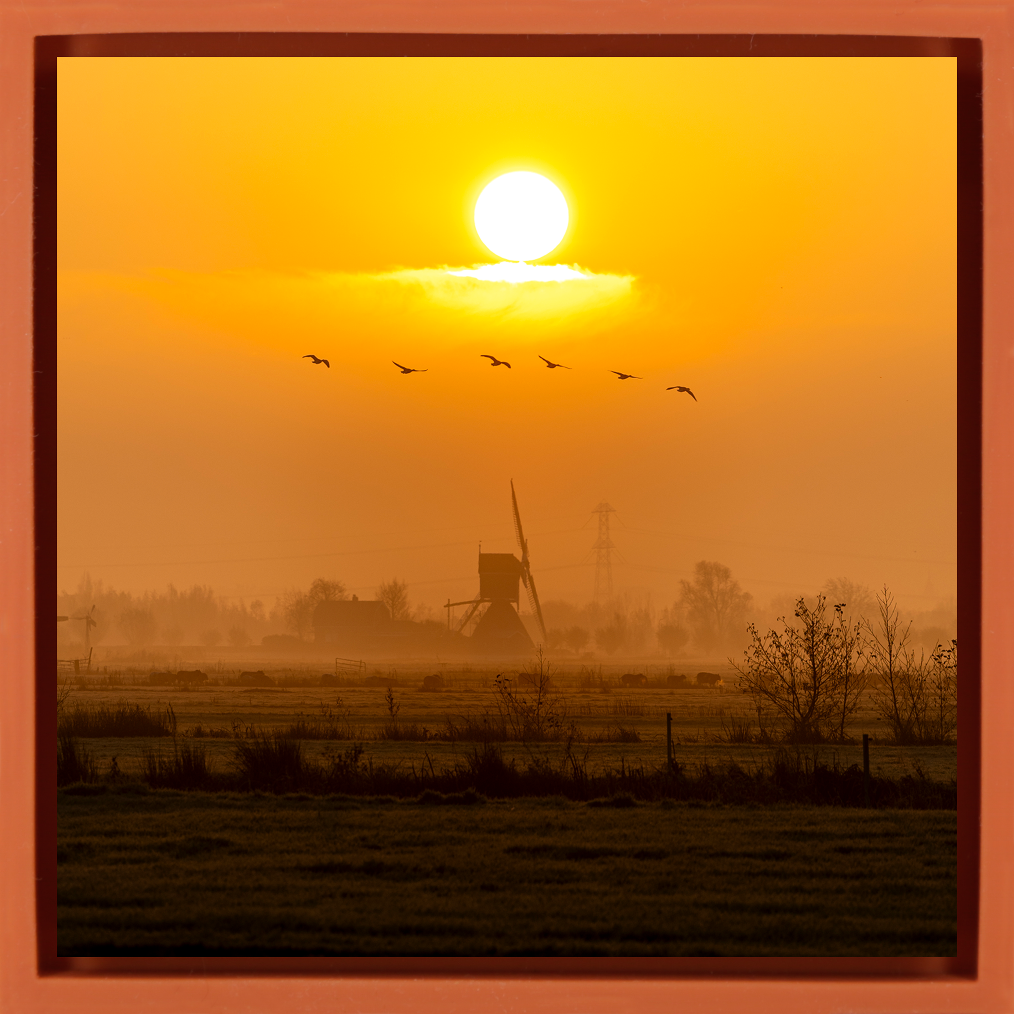 Golden Solitude - Oranje Wrapp