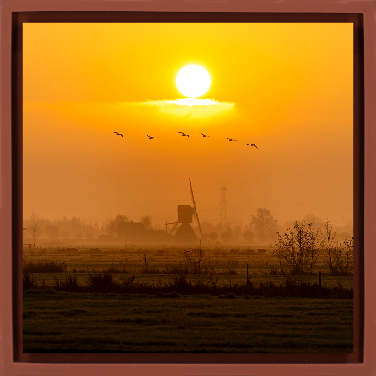Golden Solitude
