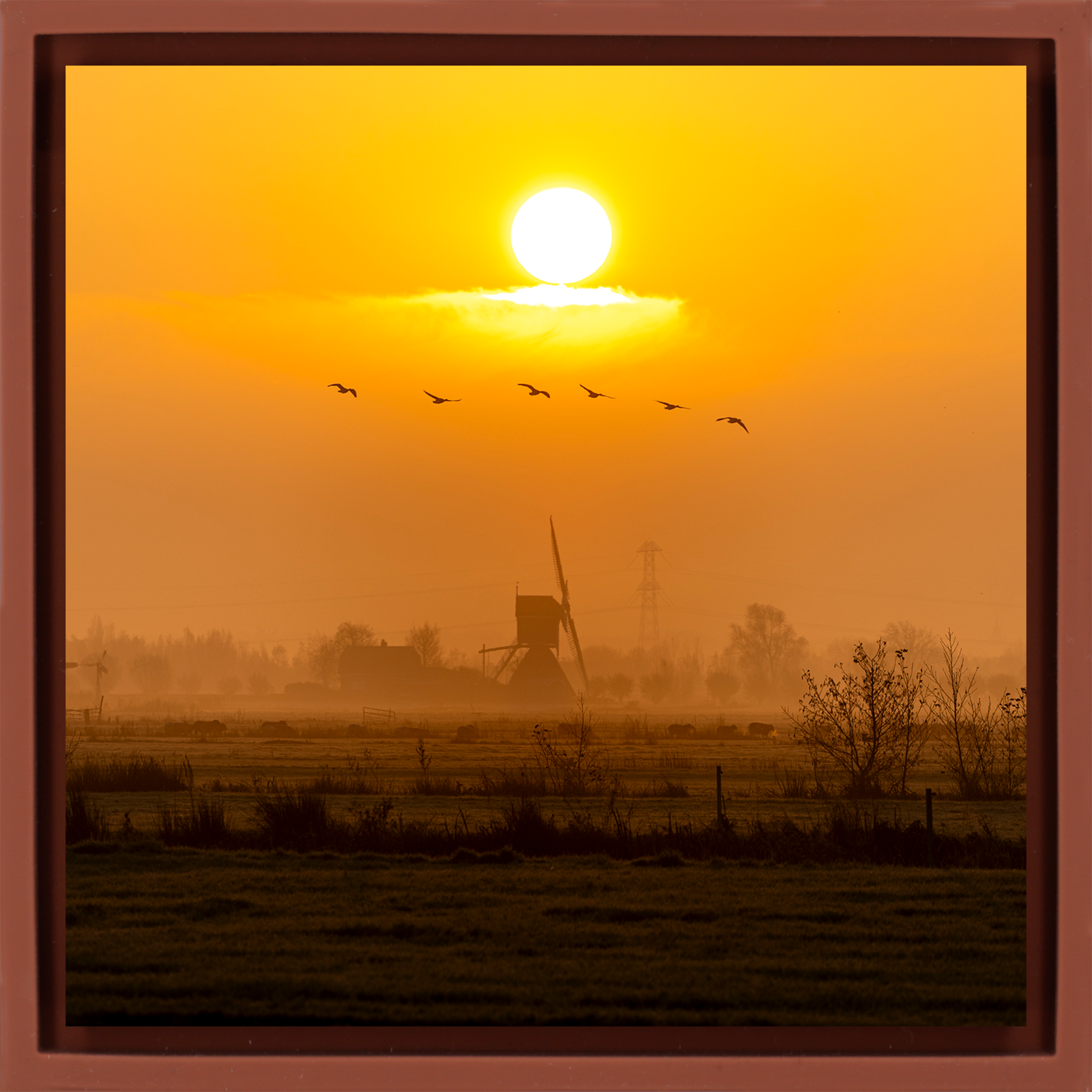 Golden Solitude - Terra Wrapp