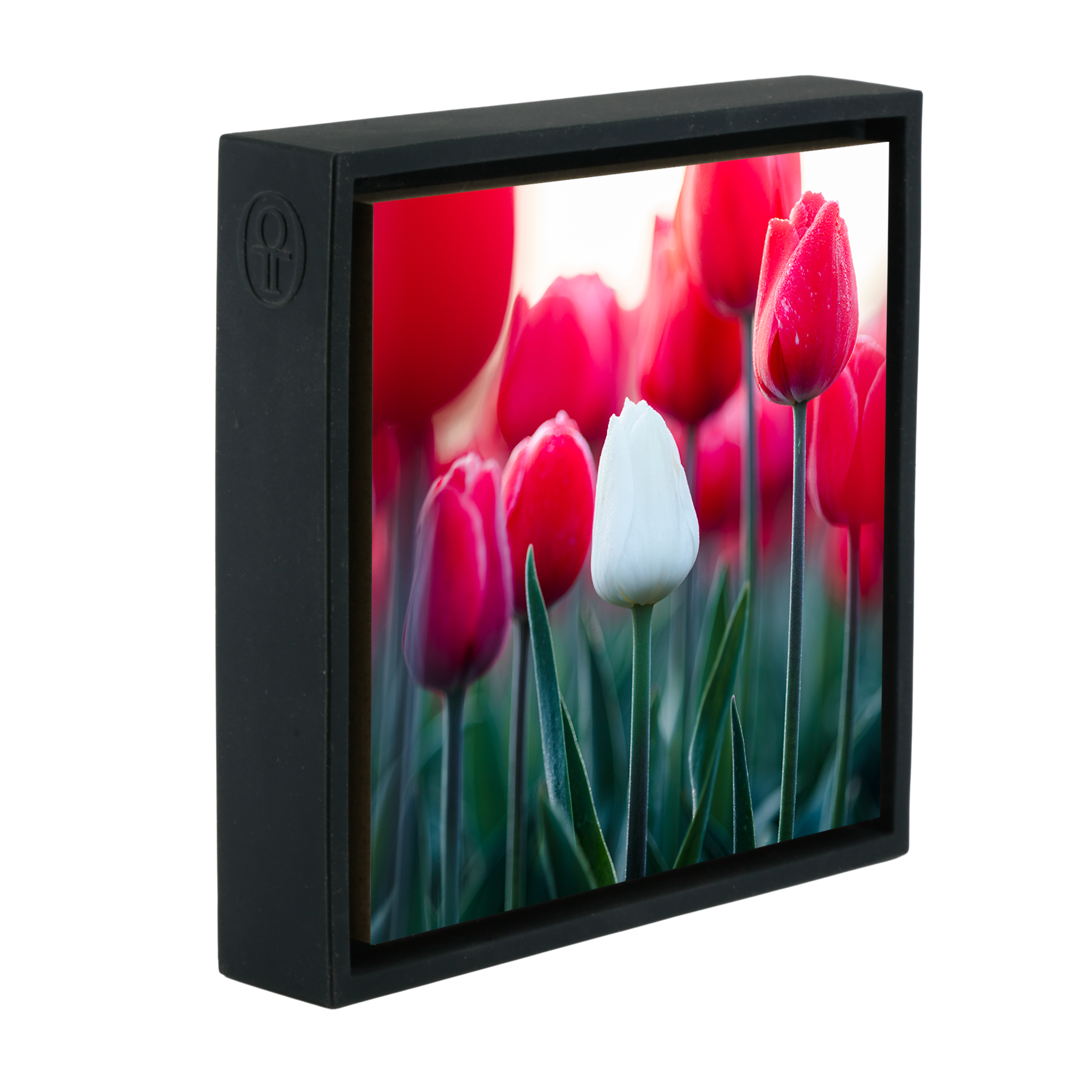 Standing Out - Zwarte Wrapp