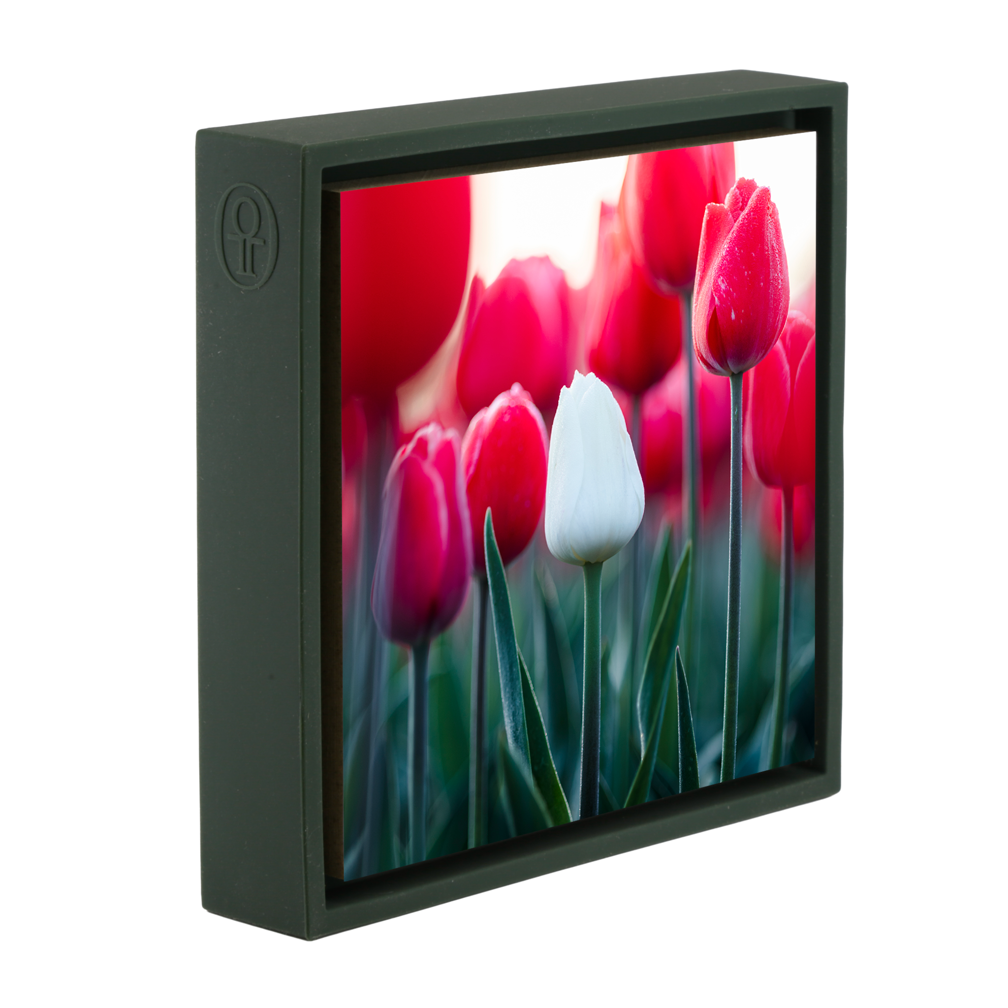 Standing Out- Dark Green Wrapp