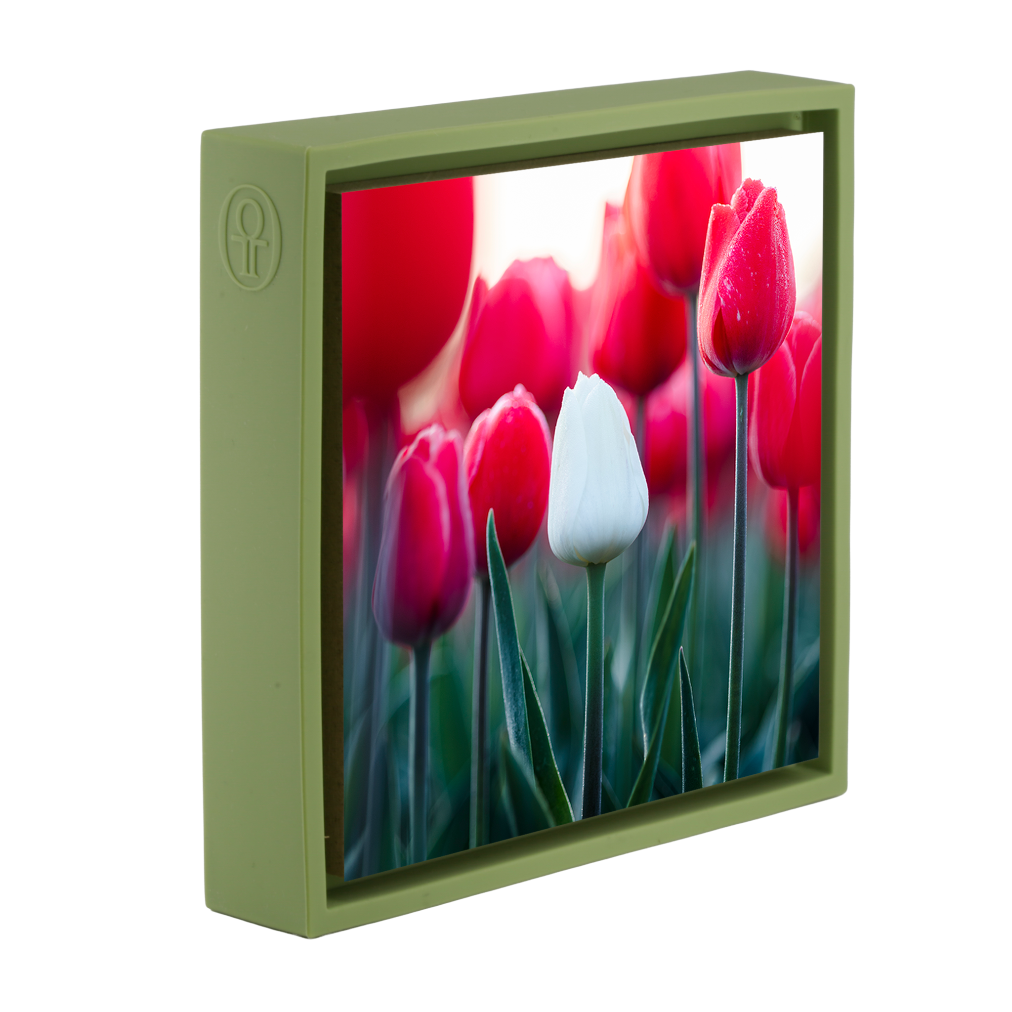 Standing Out- Light Green Wrapp