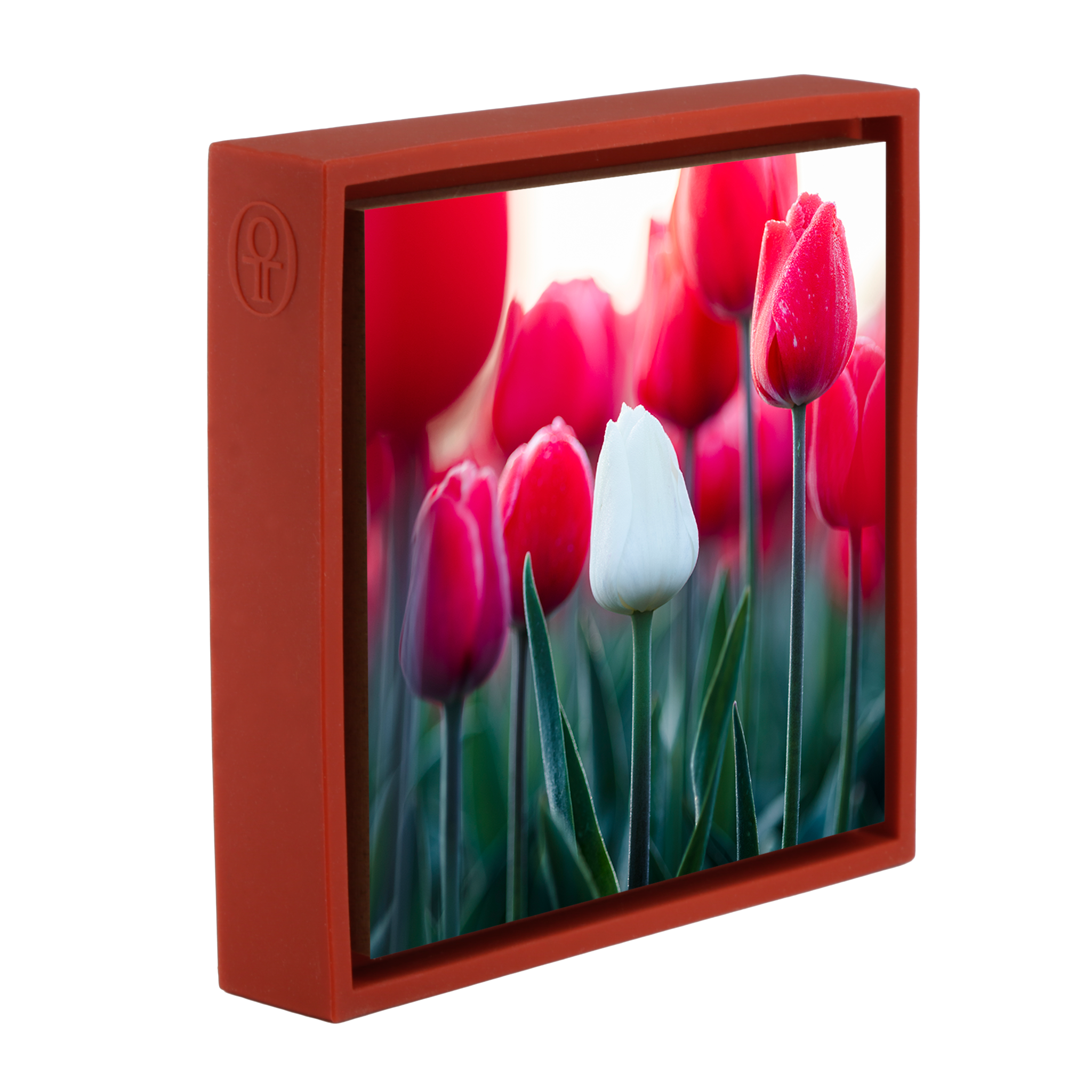 Standing Out- Red Wrapp