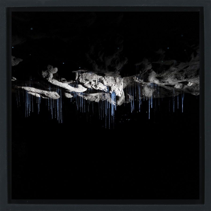 Where Darkness Glows - Black Wrapp