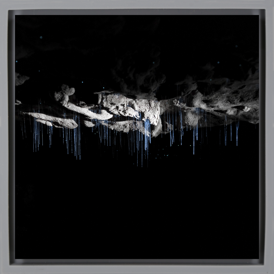 Where Darkness Glows - Grey Wrapp