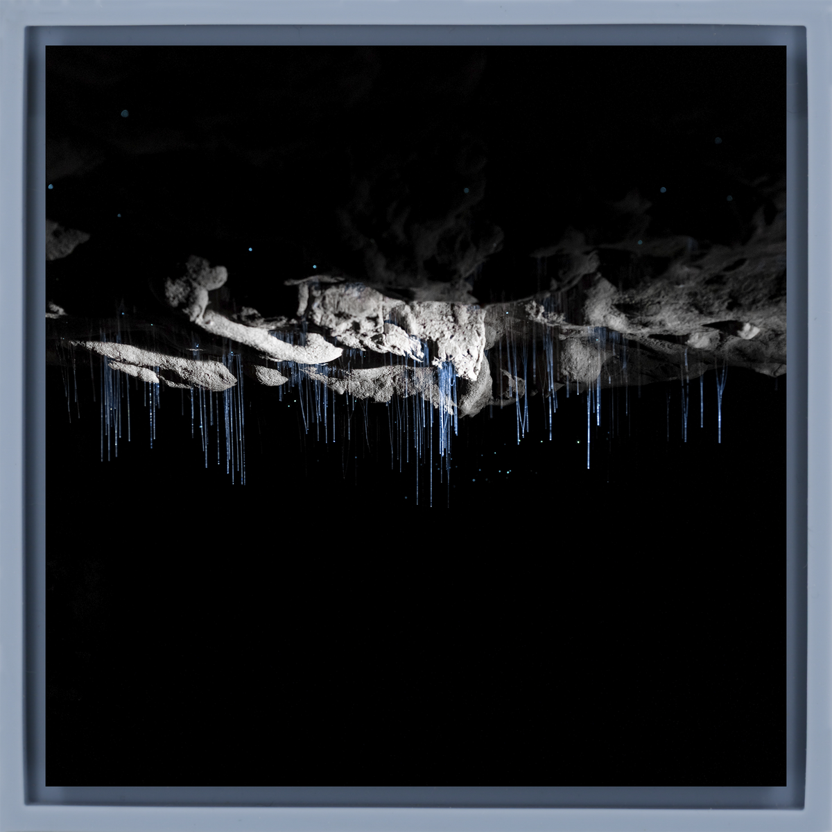 Where Darkness Glows