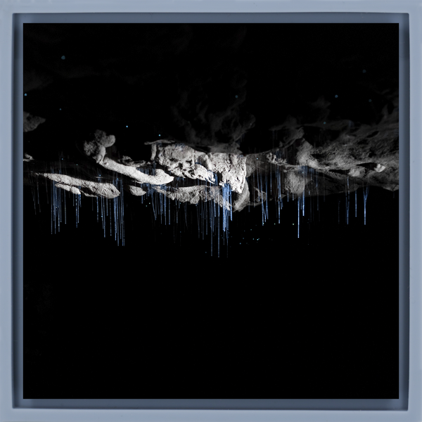 Where Darkness Glows - Light Blue Wrapp