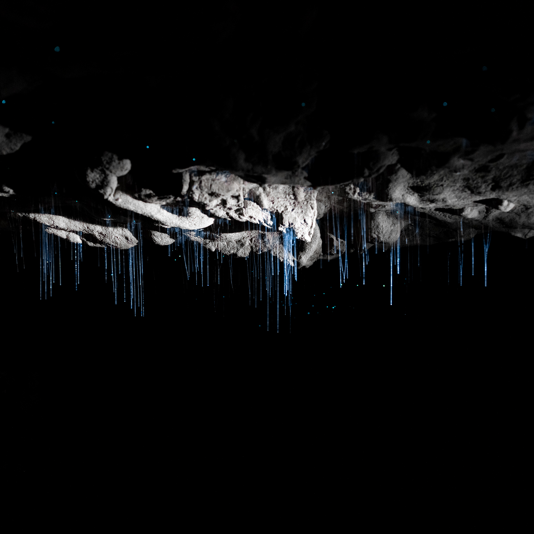 Where Darkness Glows- Collection: New Zealand
