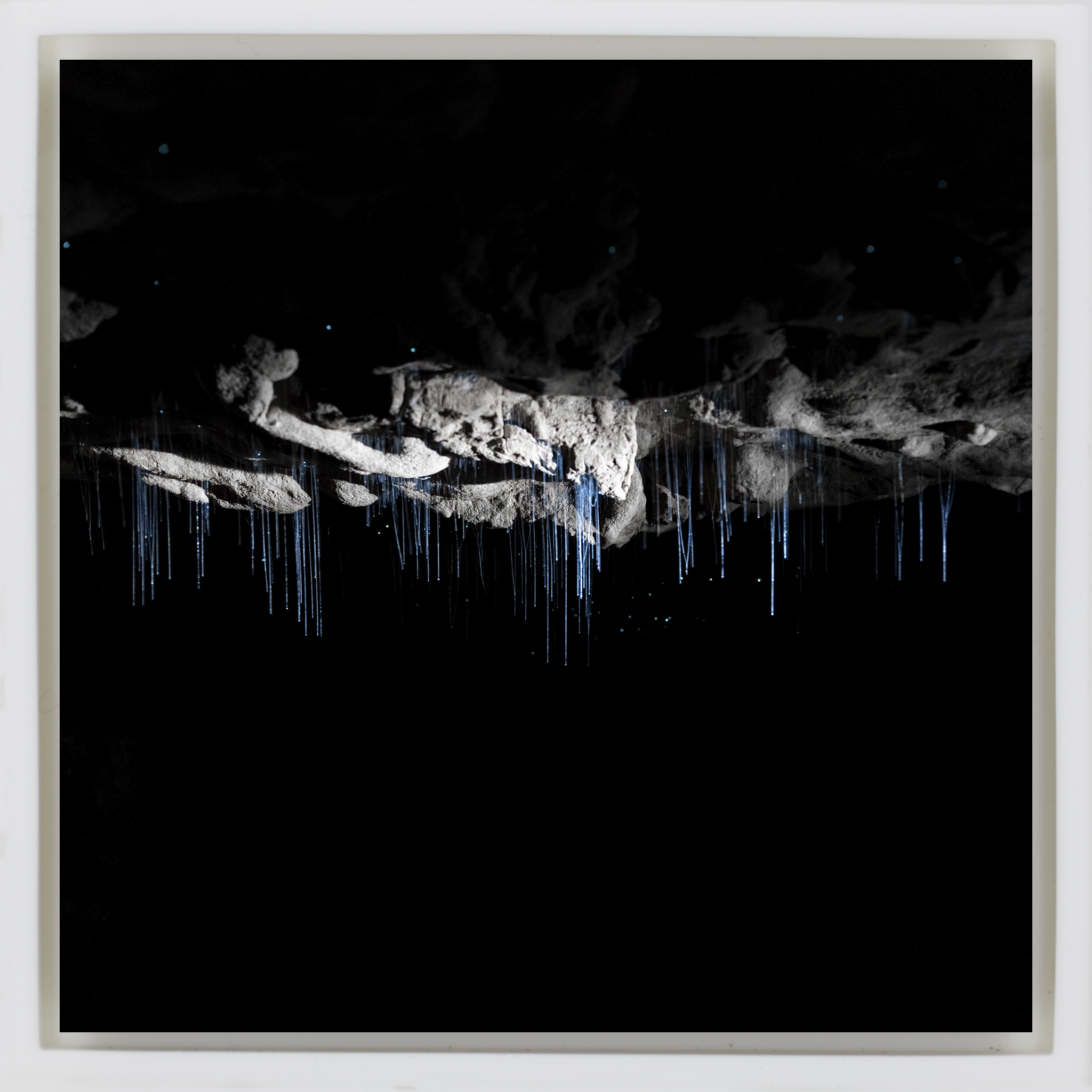 Where Darkness Glows- White Wrapp