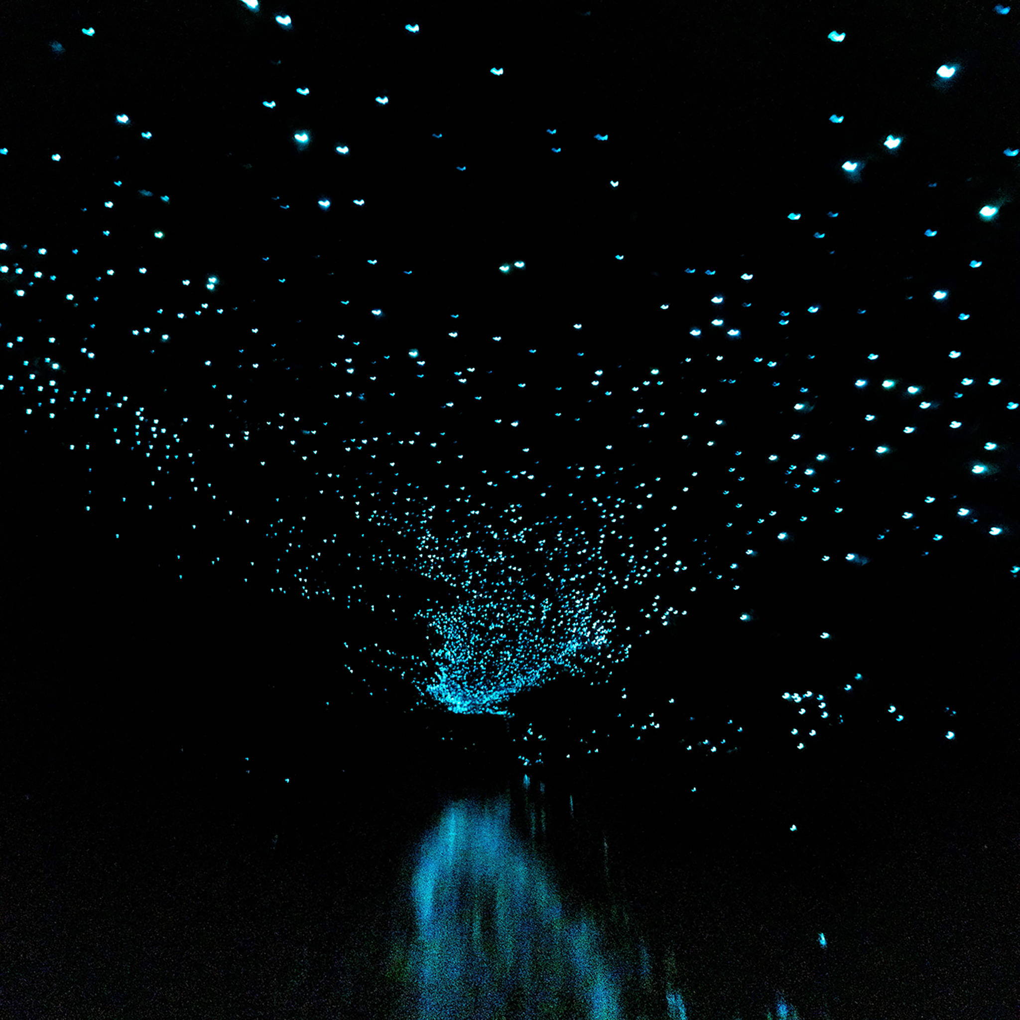 A Galaxy Below- Collection: New Zealand