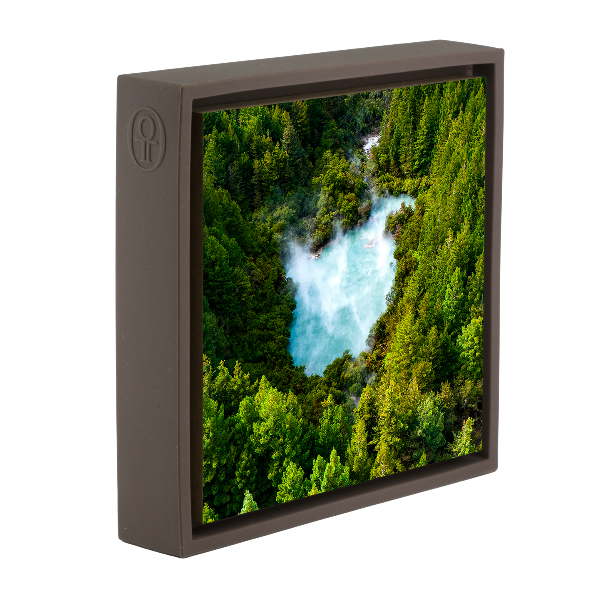 The Heart of the Forest- Brown Wrapp