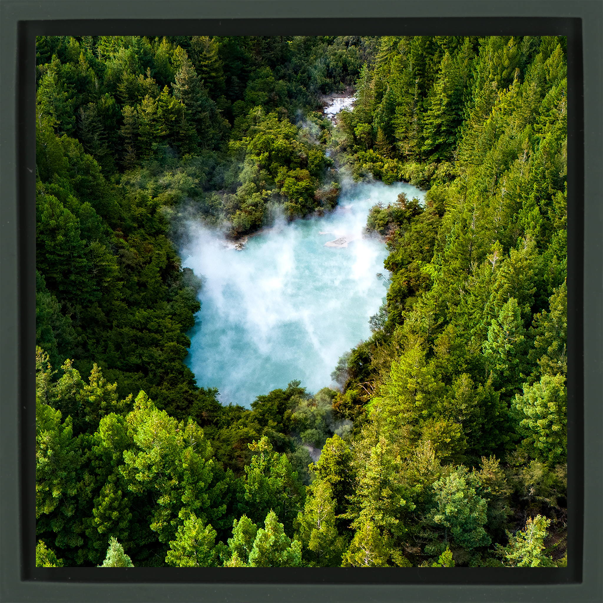 The Heart of the Forest- Dark Green Wrapp
