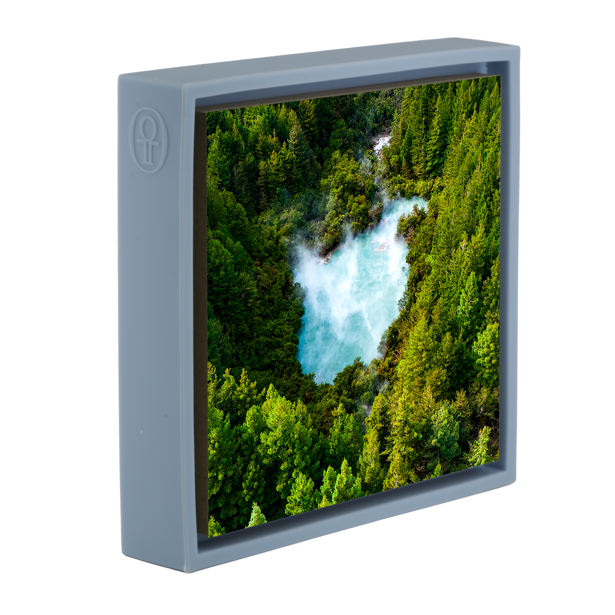 The Heart of the Forest- Light Blue Wrapp