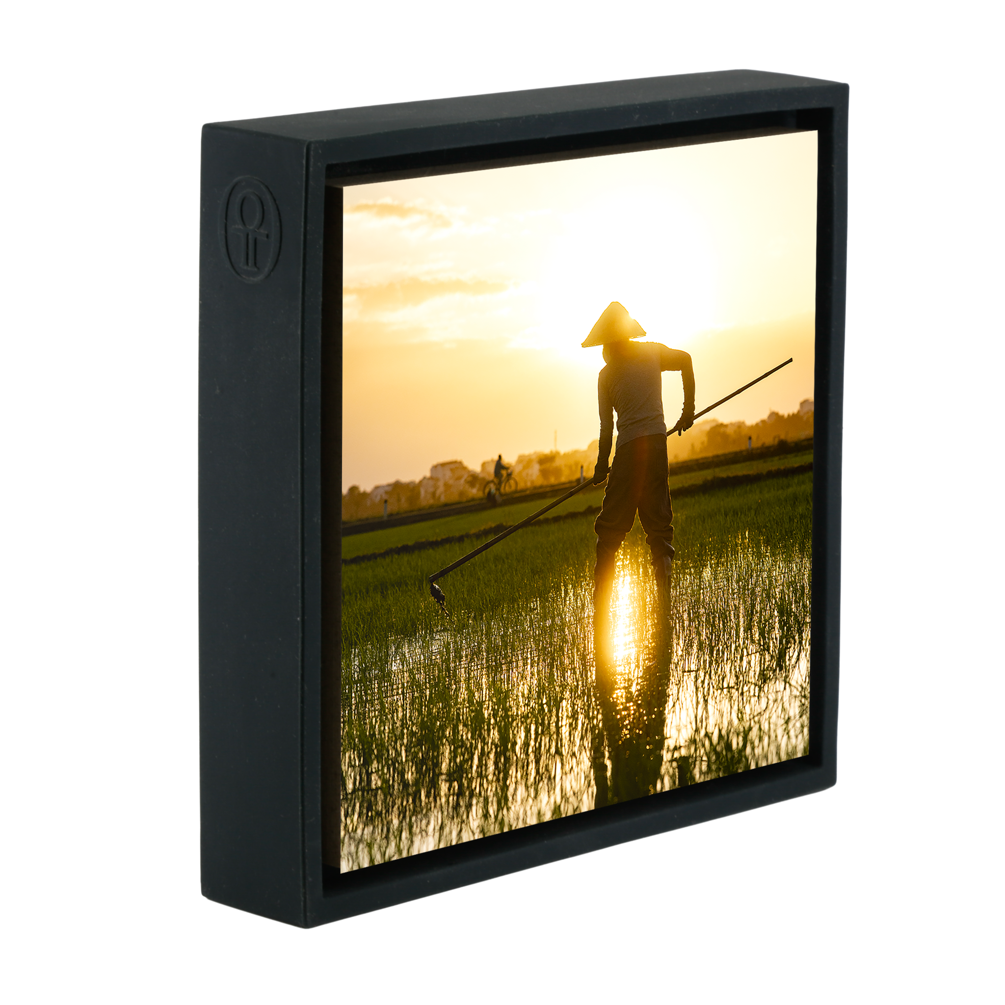 The Rice Farmer- Black Wrapp